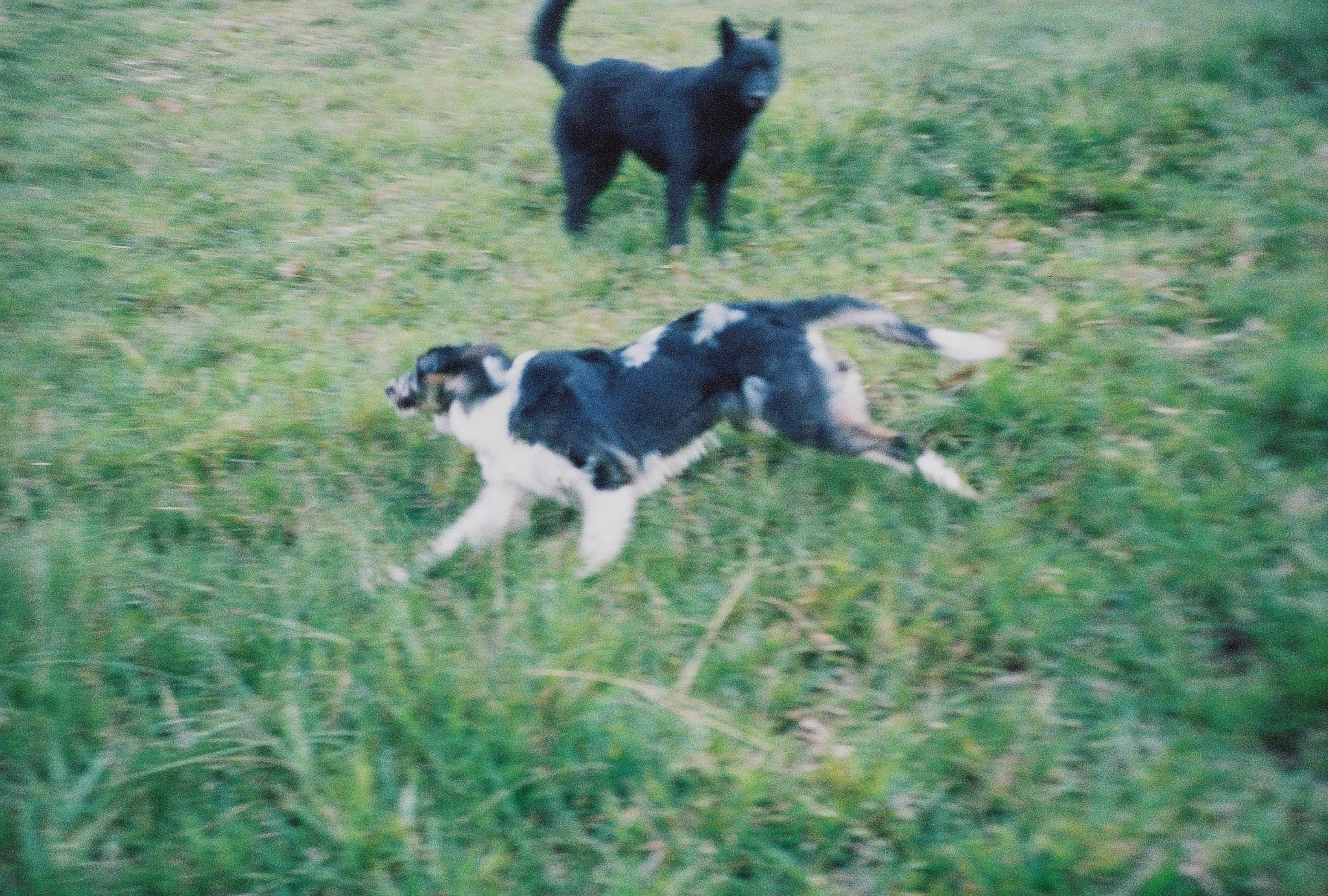 000030-5.jpg