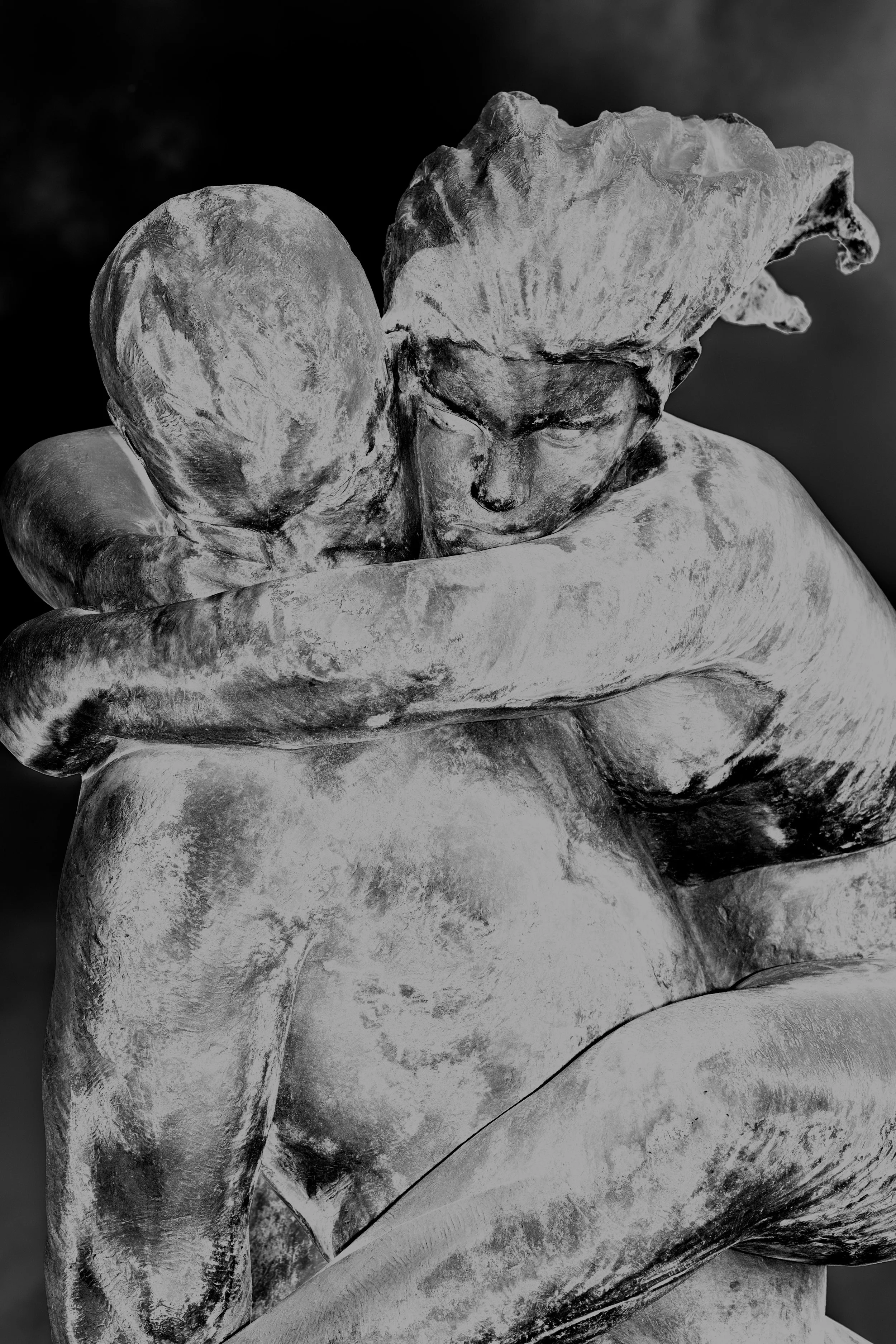 _XP29564-Modifier.jpg