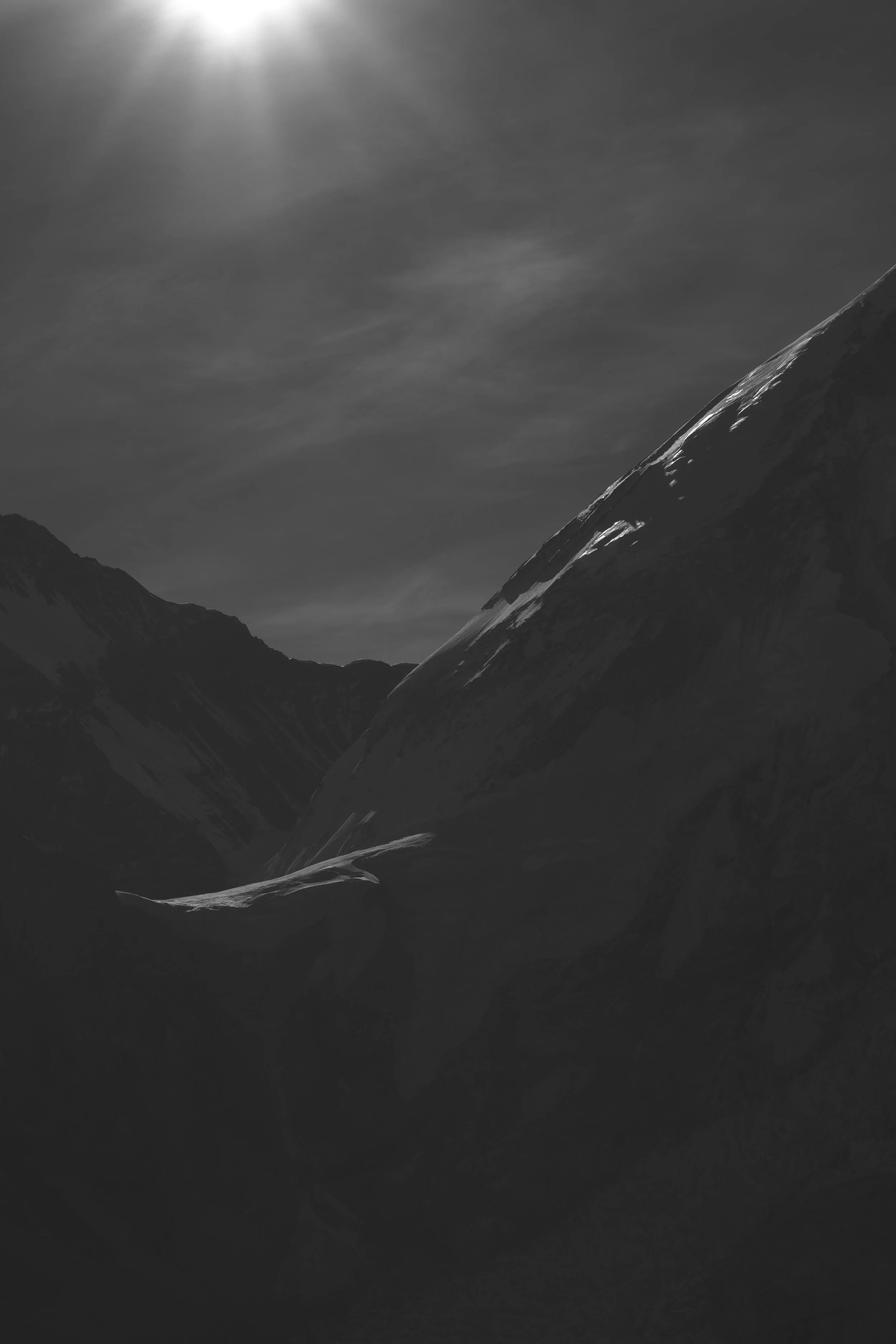 _XP24057-Modifier.jpg