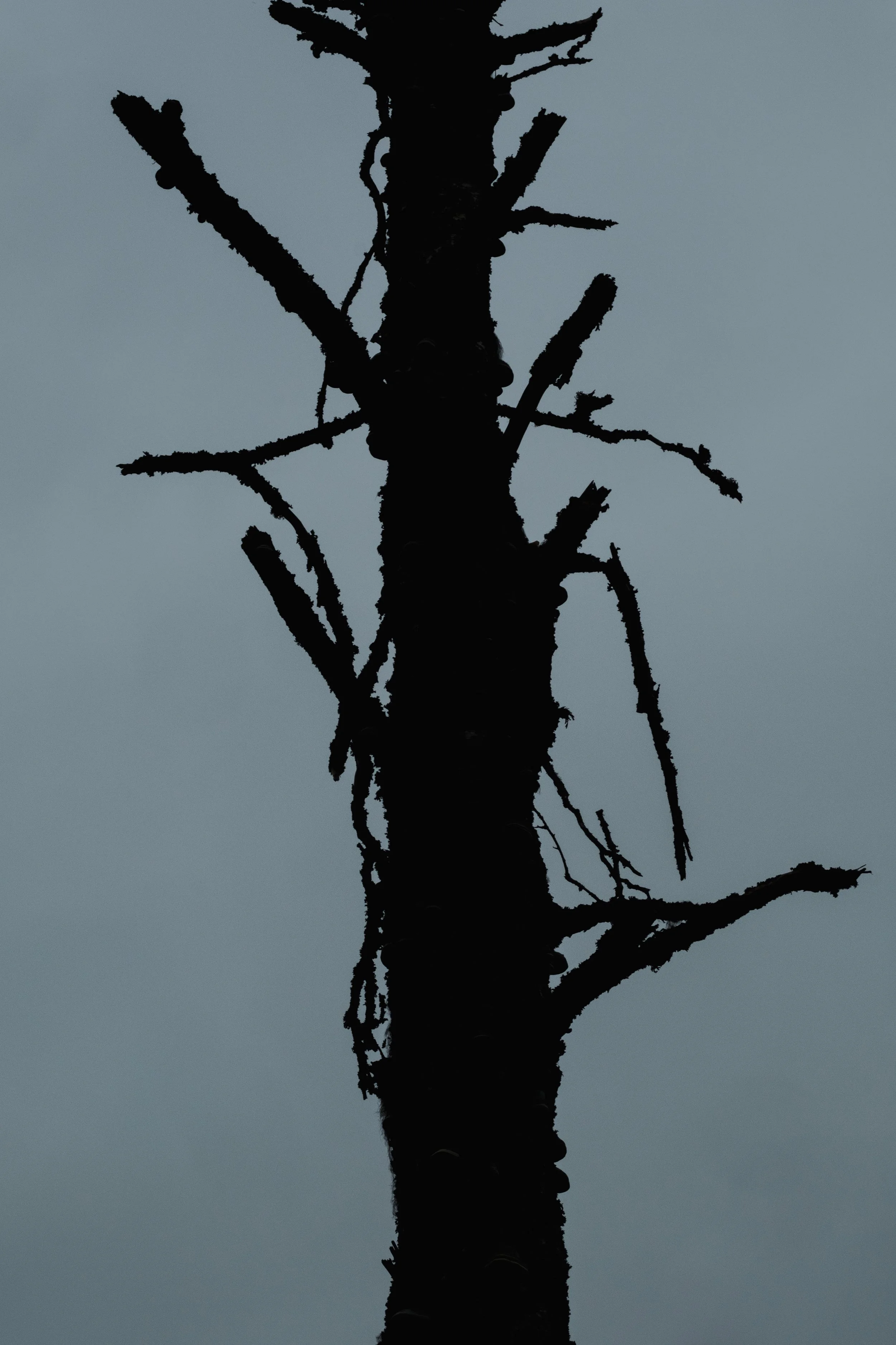 _XP29508-Modifier.jpg