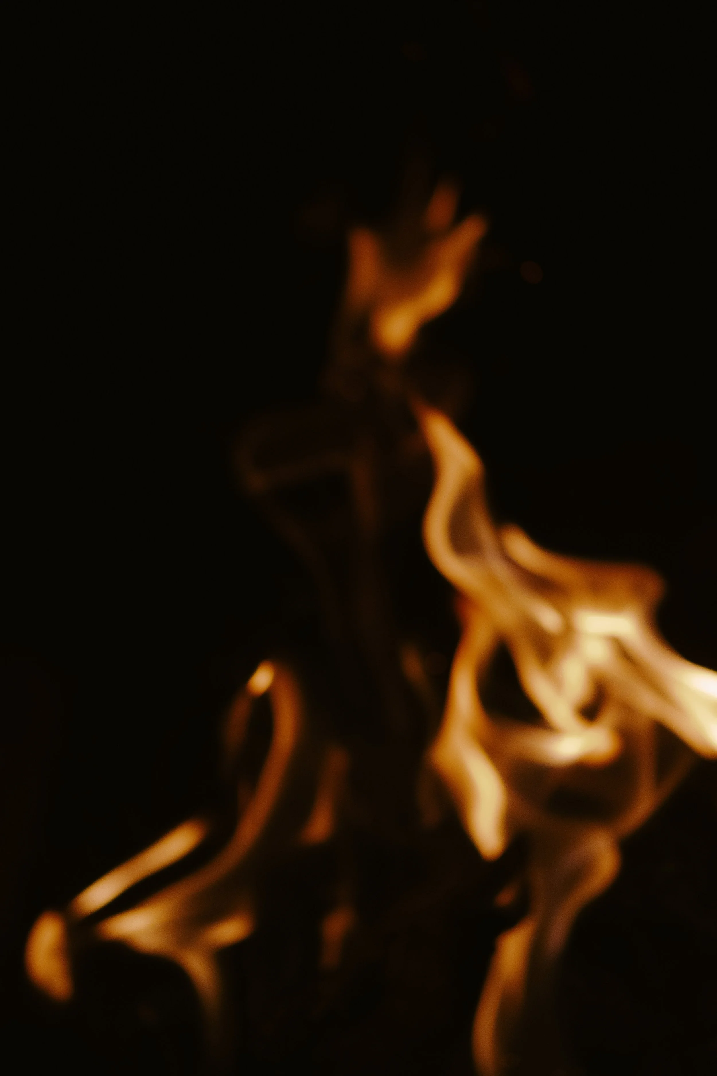 _DSF8884-Modifier.jpg