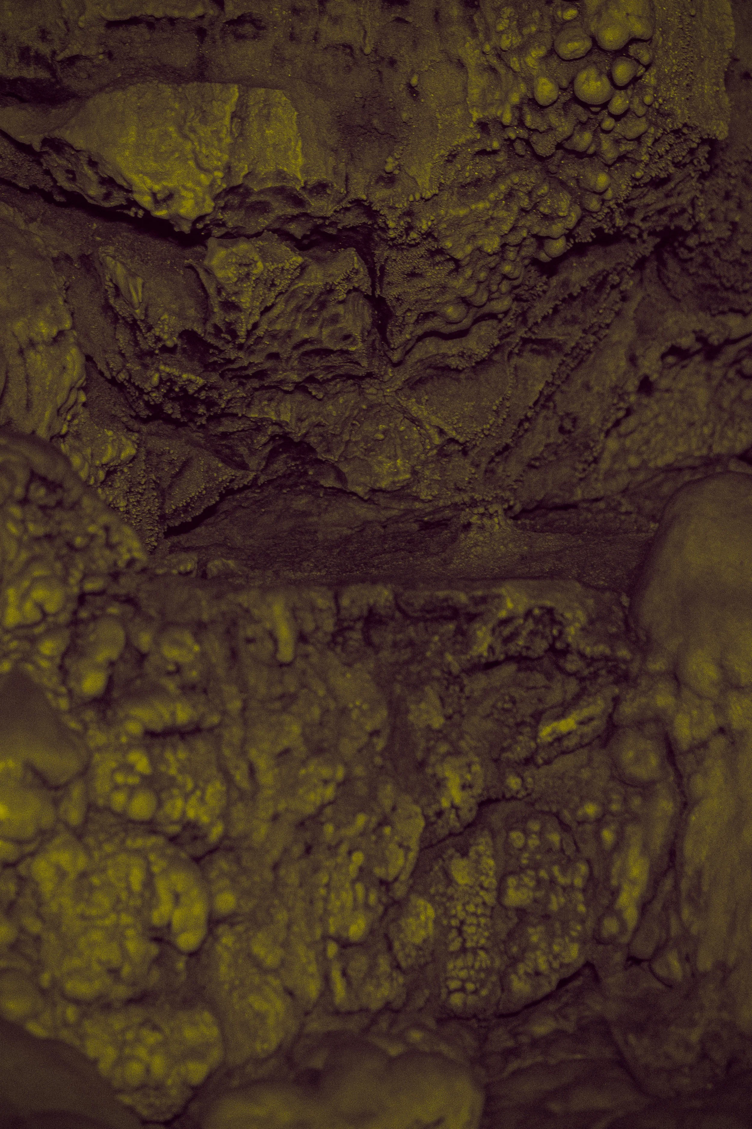 _XP26324-Modifier.jpg