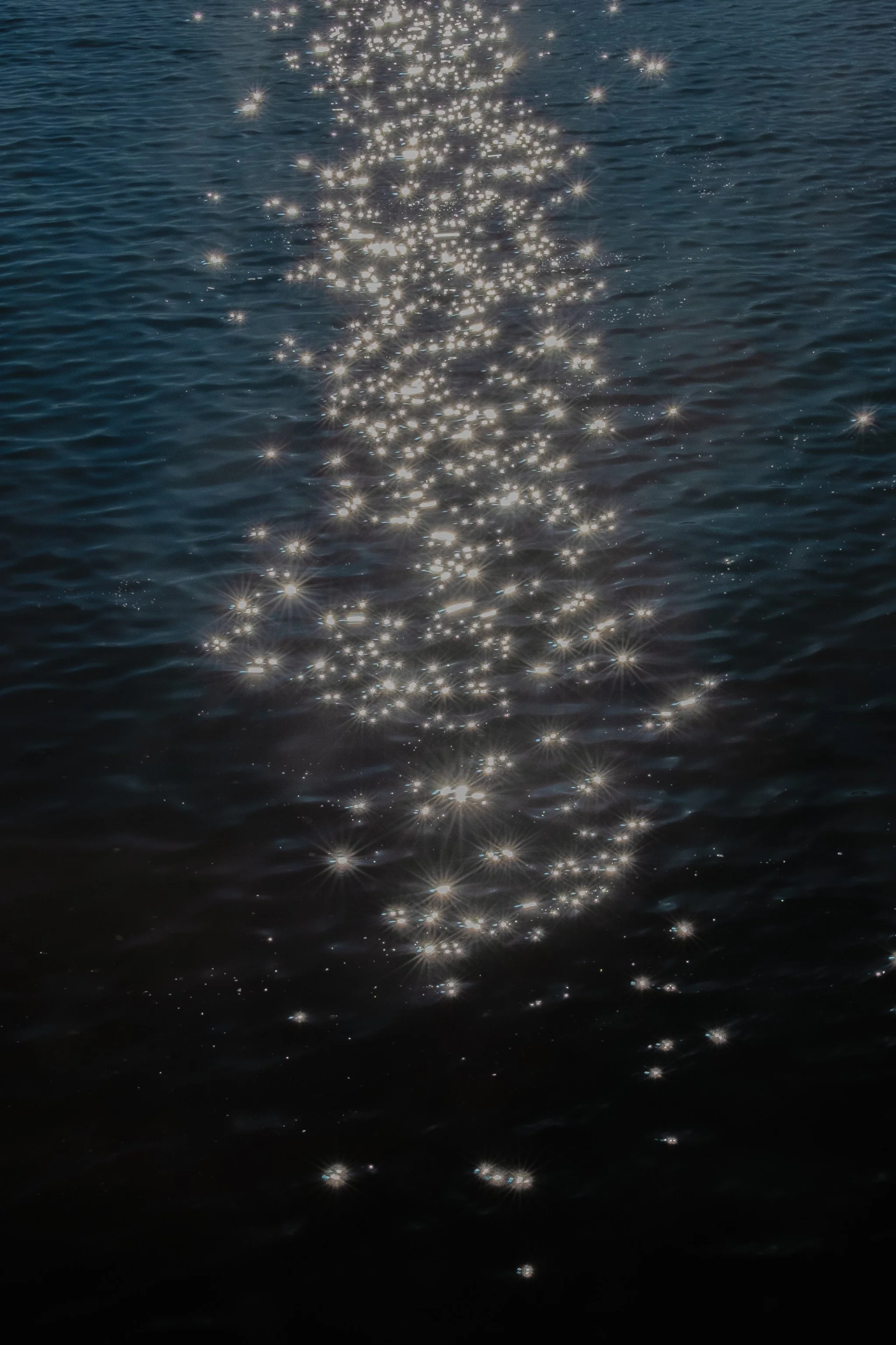 _XP29322-Modifier.jpg