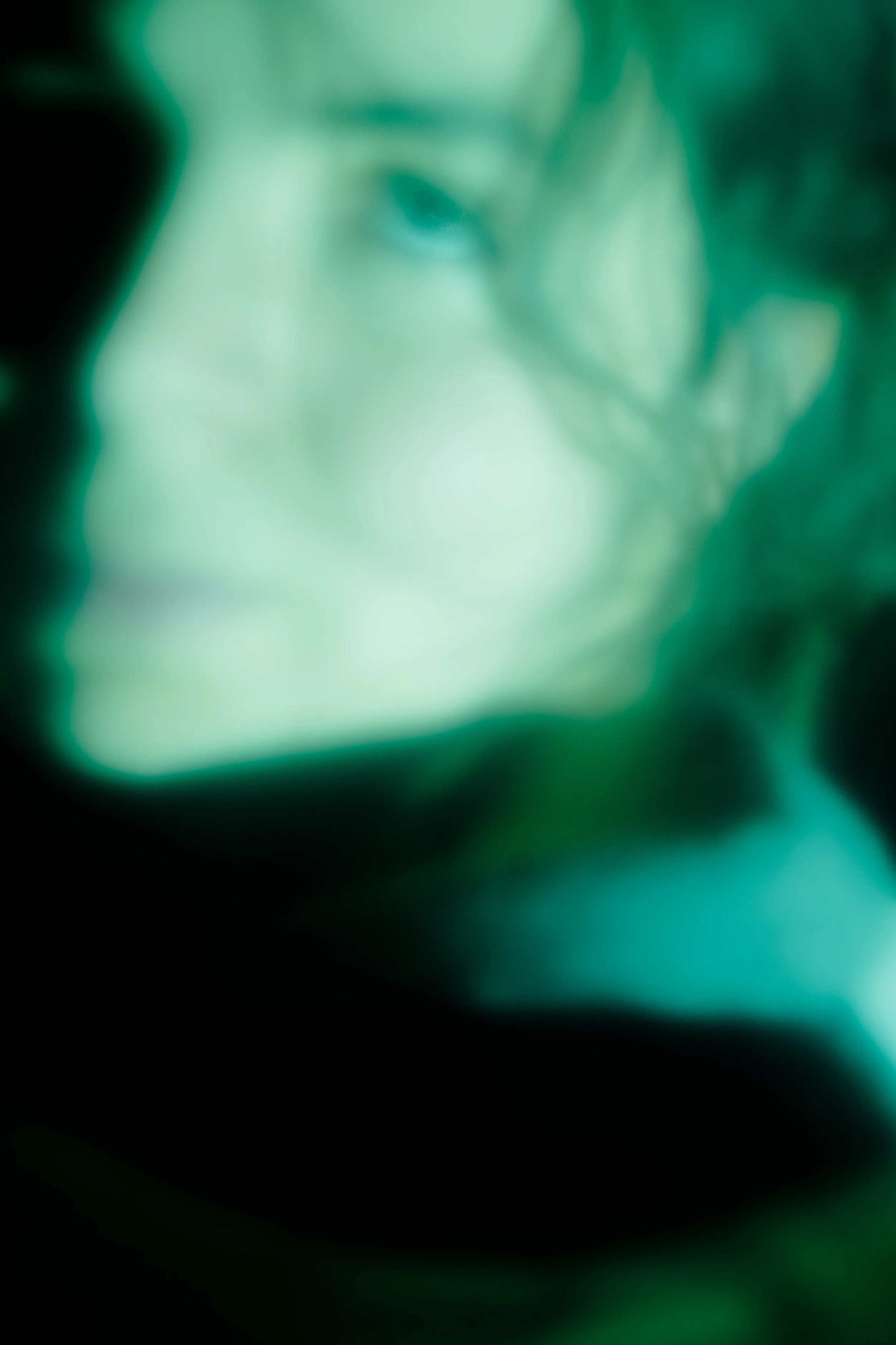 _DSF8280.jpg
