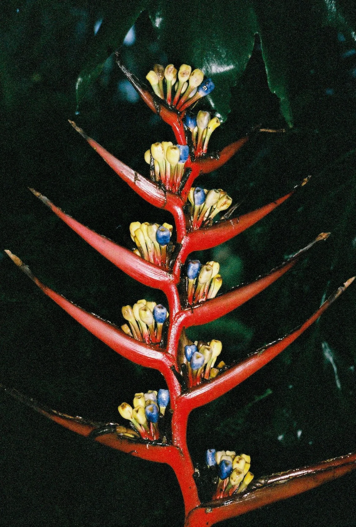 000025-2-Modifier.jpg