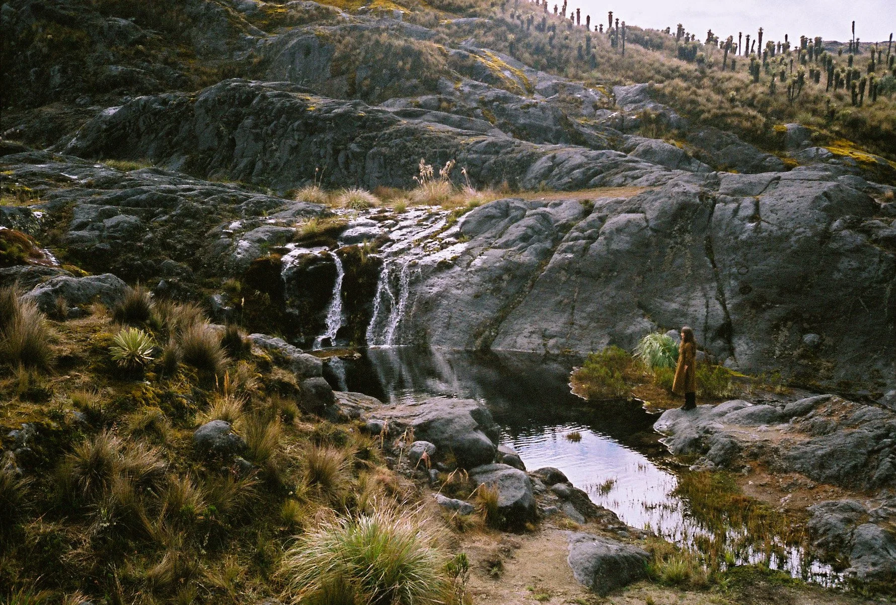 000011-3.jpg