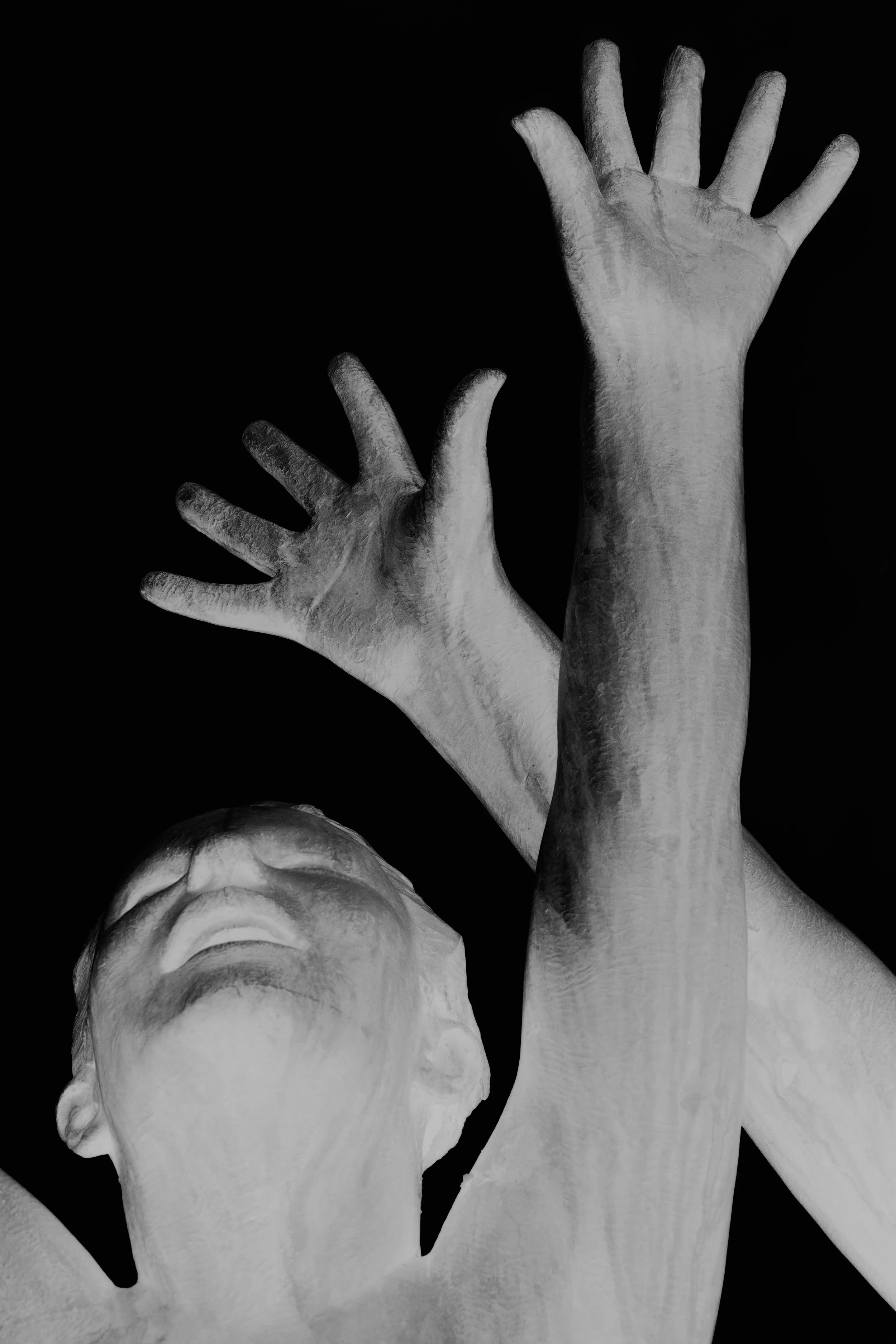 _XP29552-Modifier.jpg