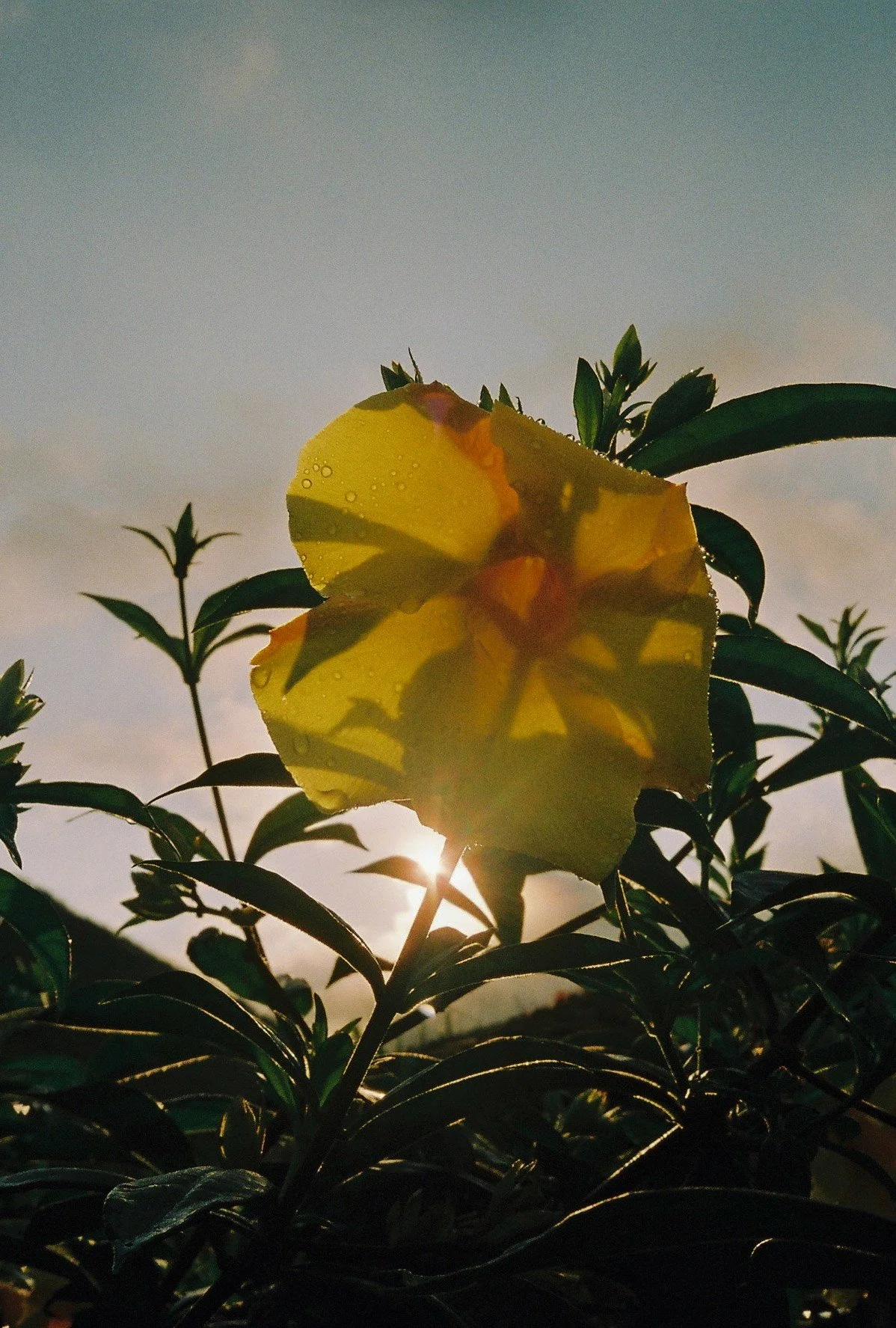 000014-4.jpg