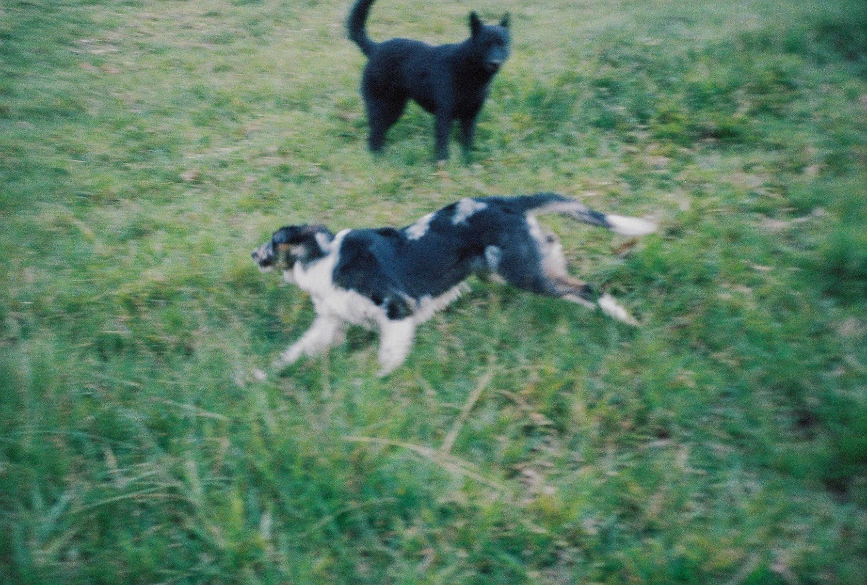000030-5.jpg