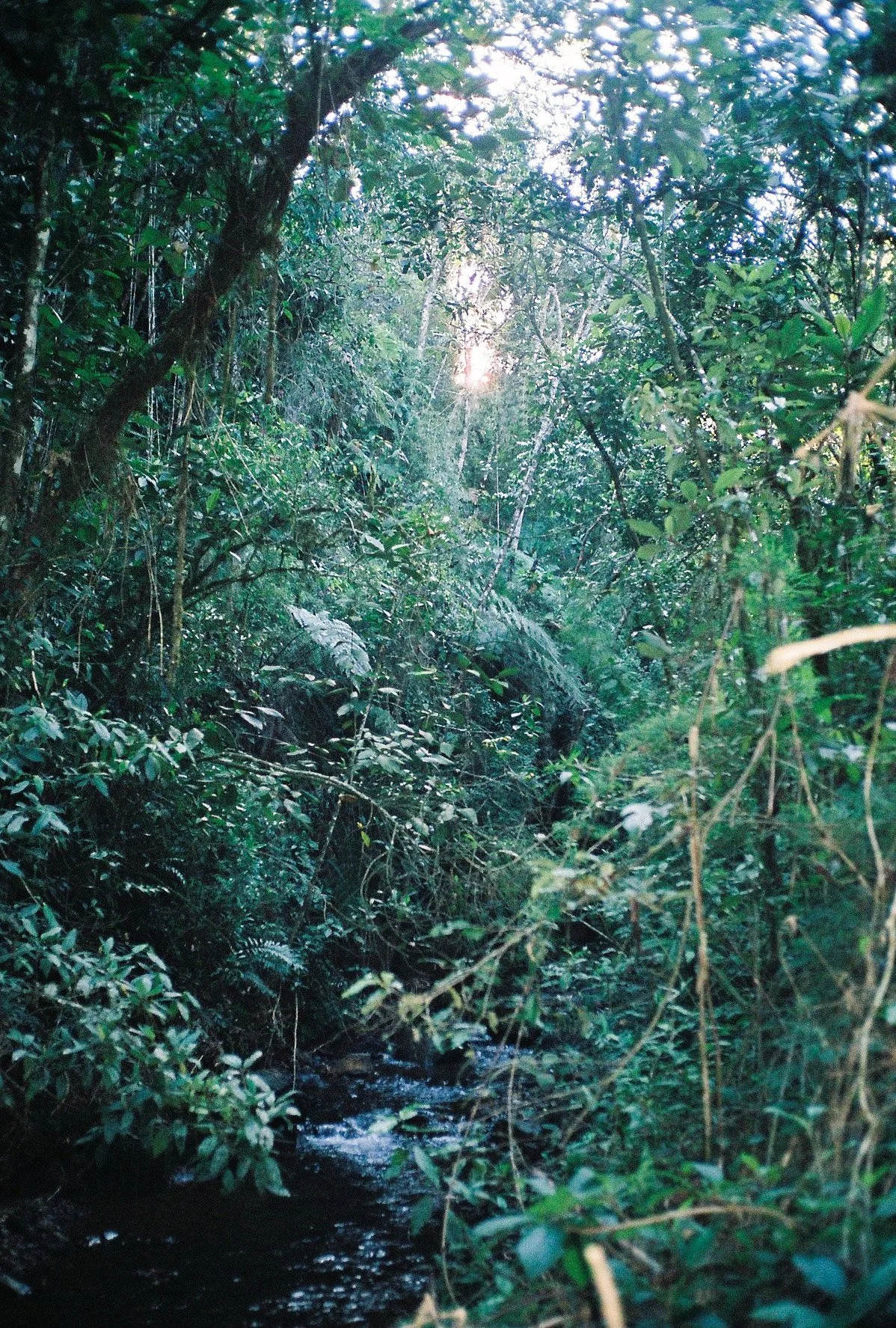 000028-3.jpg