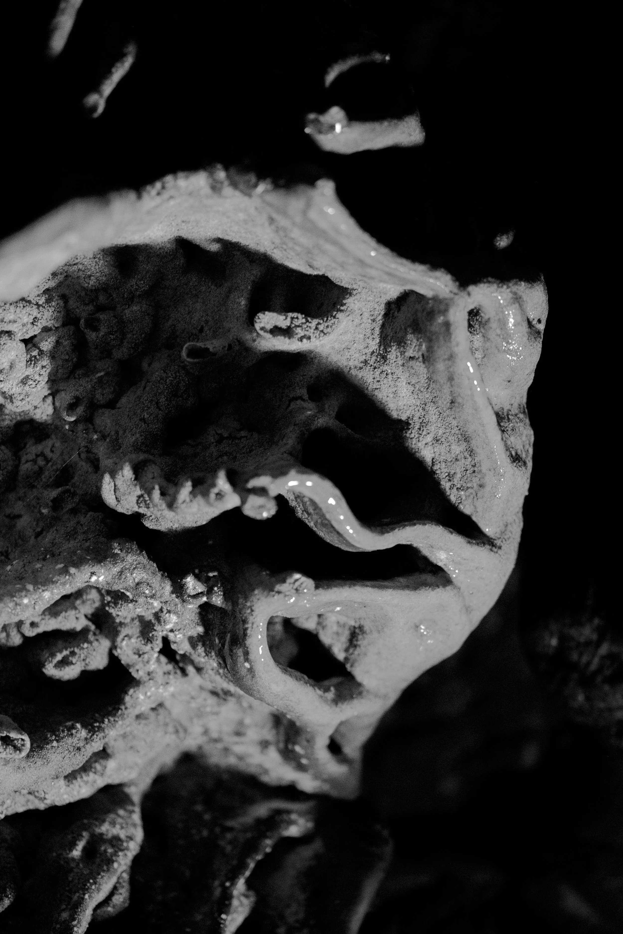 _XP26245-Modifier.jpg