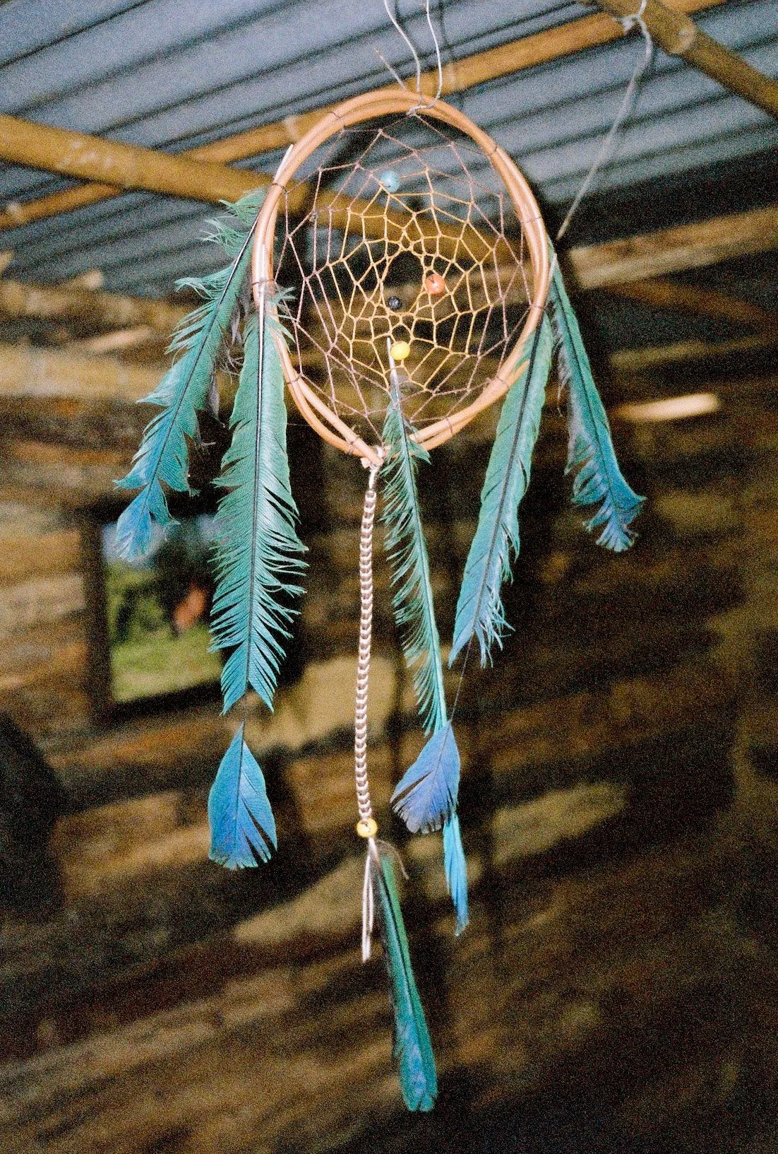 000048-2.jpg