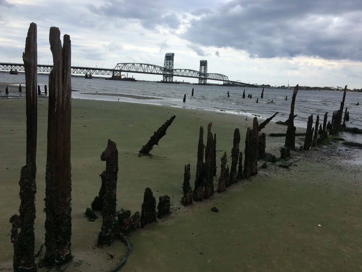 Dead Horse Bay, Brooklyn, NY 2015