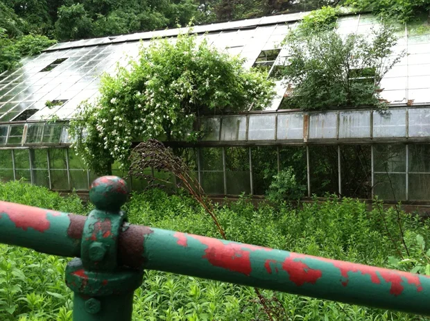 Greenhouse at Grossinger's Hotel, Liberty, NY 2010