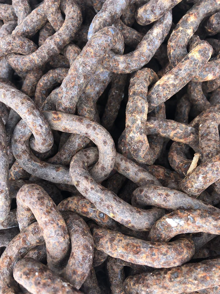 Sarasota, Florida 2020