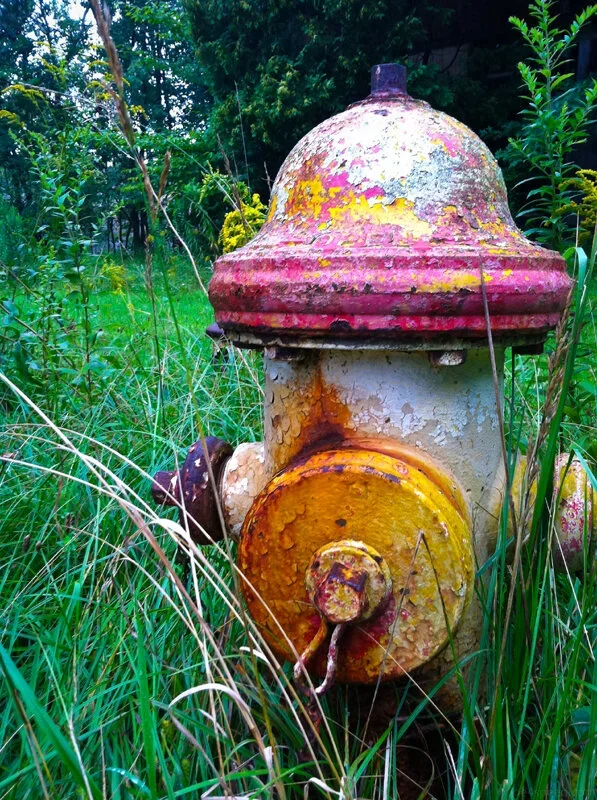 Grossinger's Hotel 2015