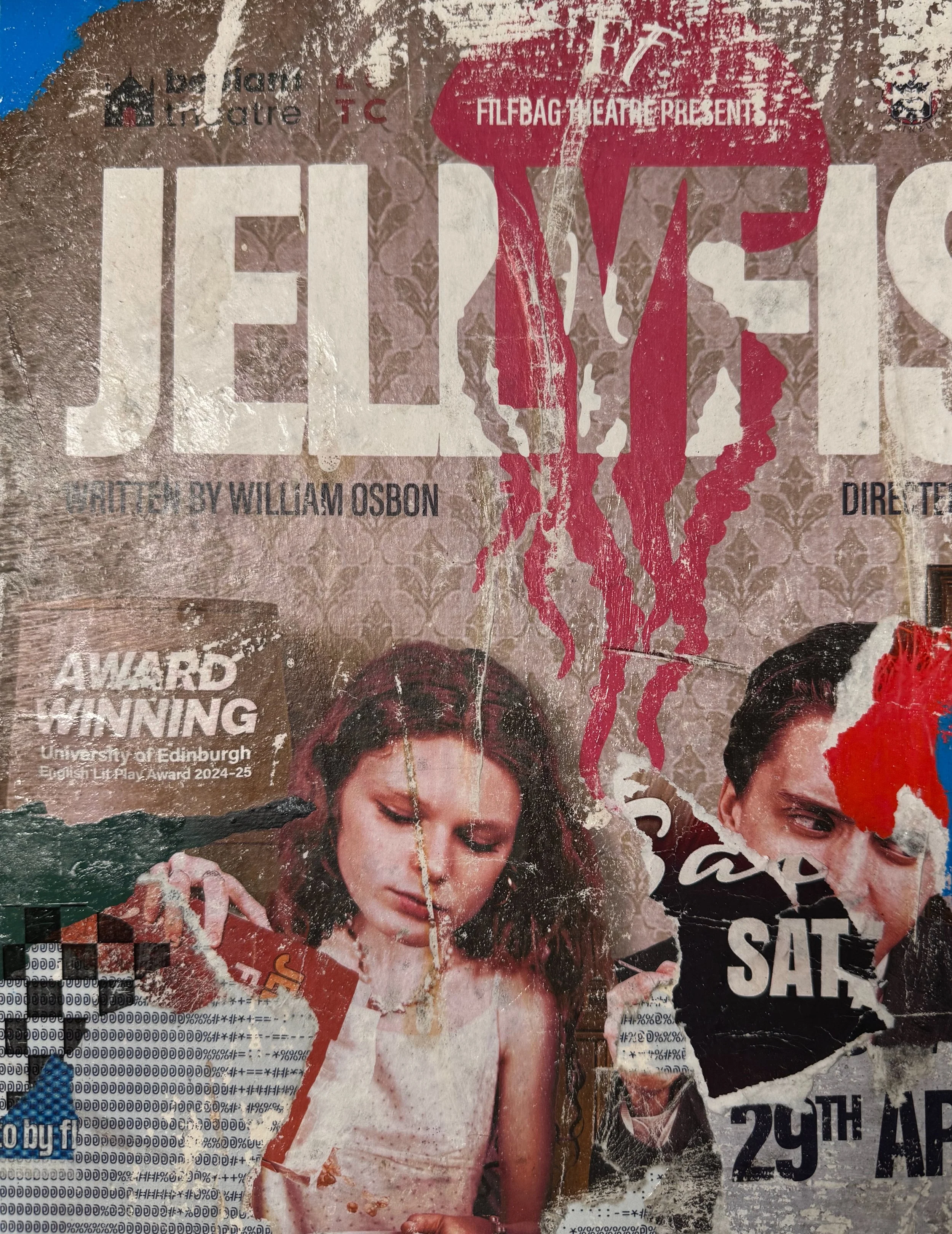 Jellyfis.jpeg