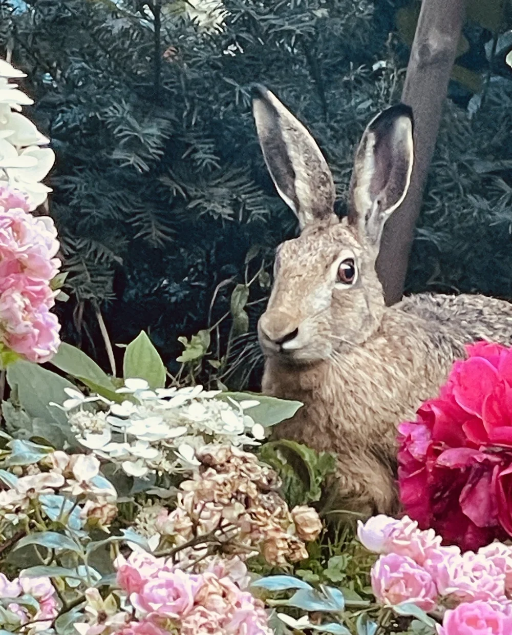 Helsinki, Finland 2023