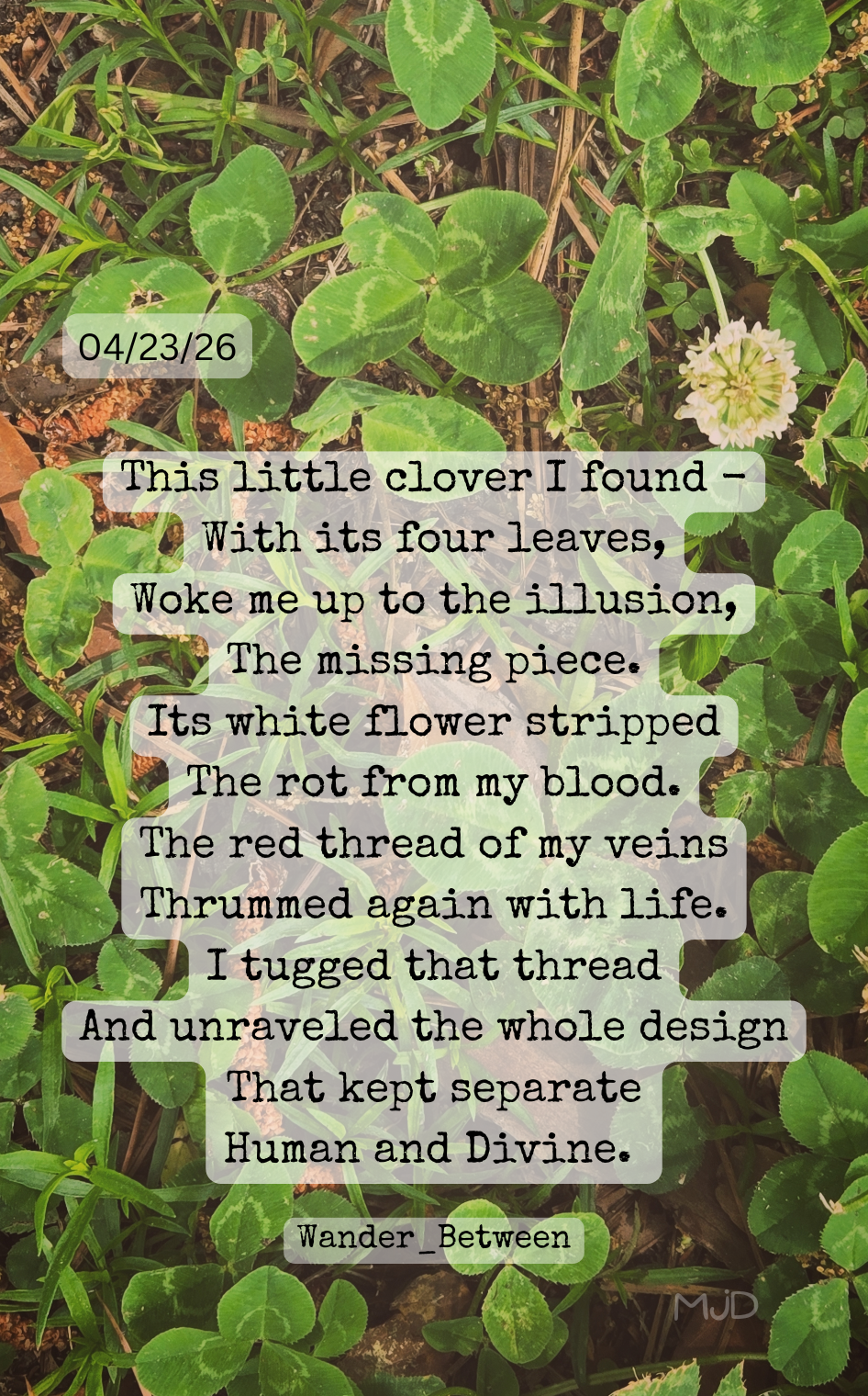 four leaf clover.png