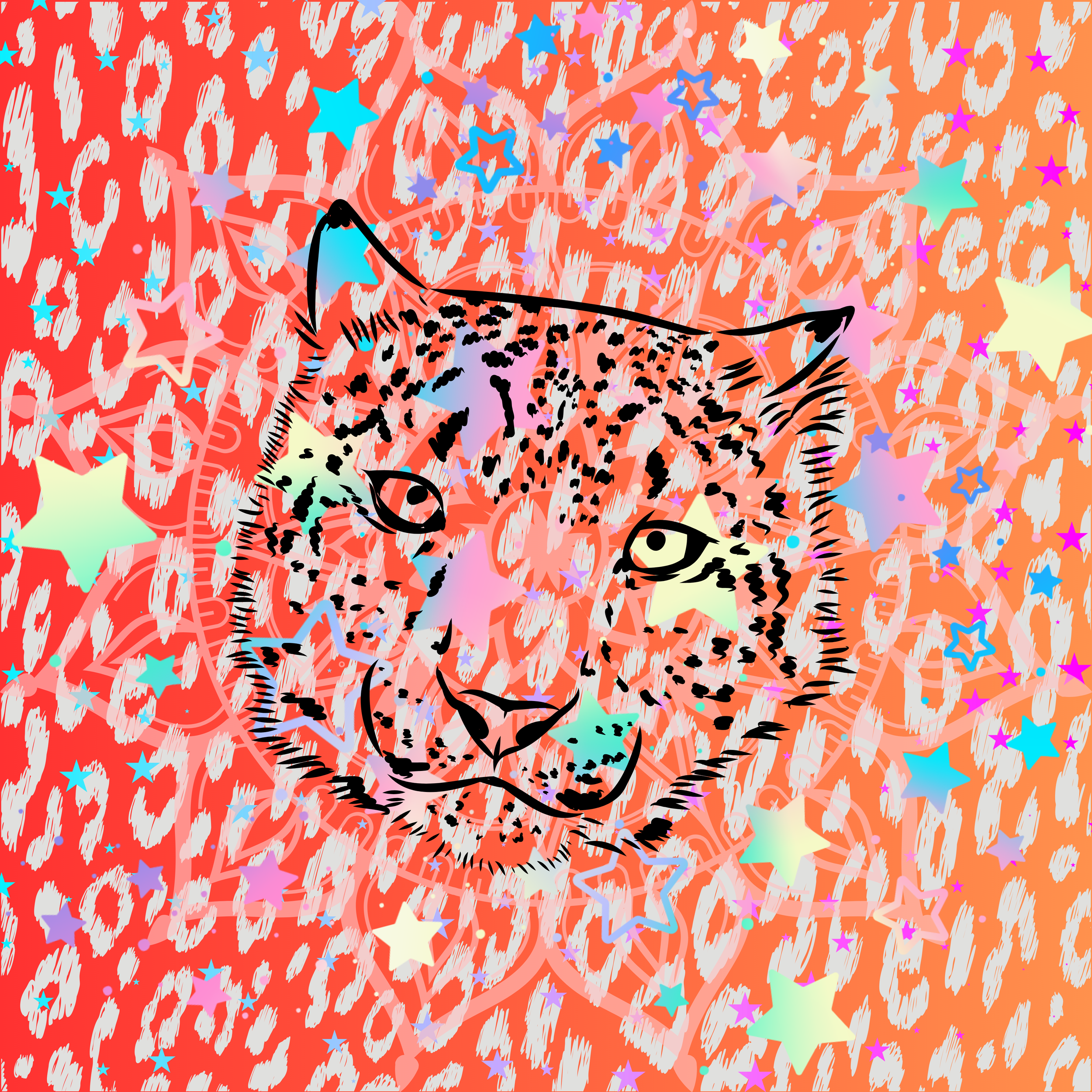 cat and stars.png