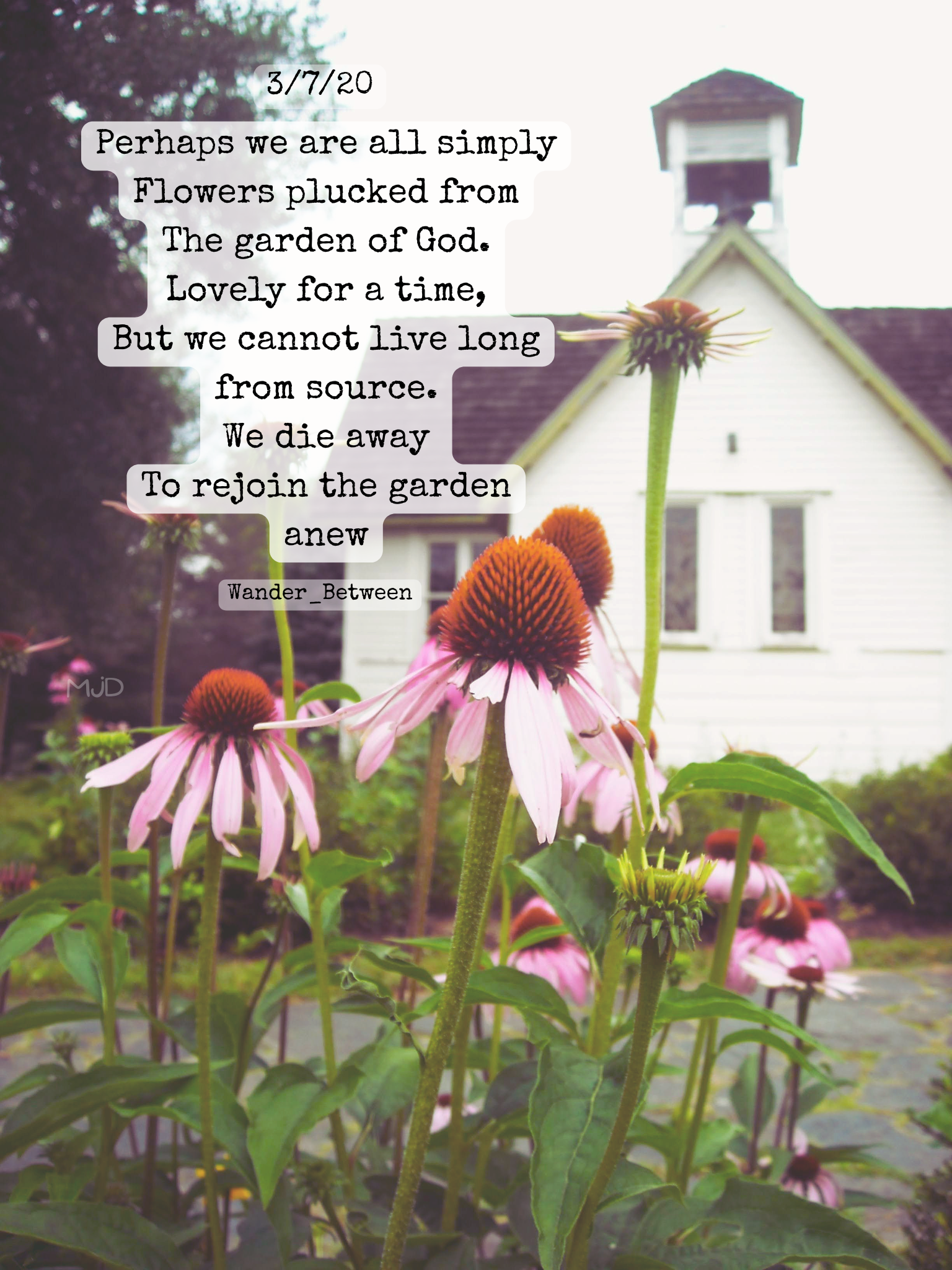 Plucked Flowers.png