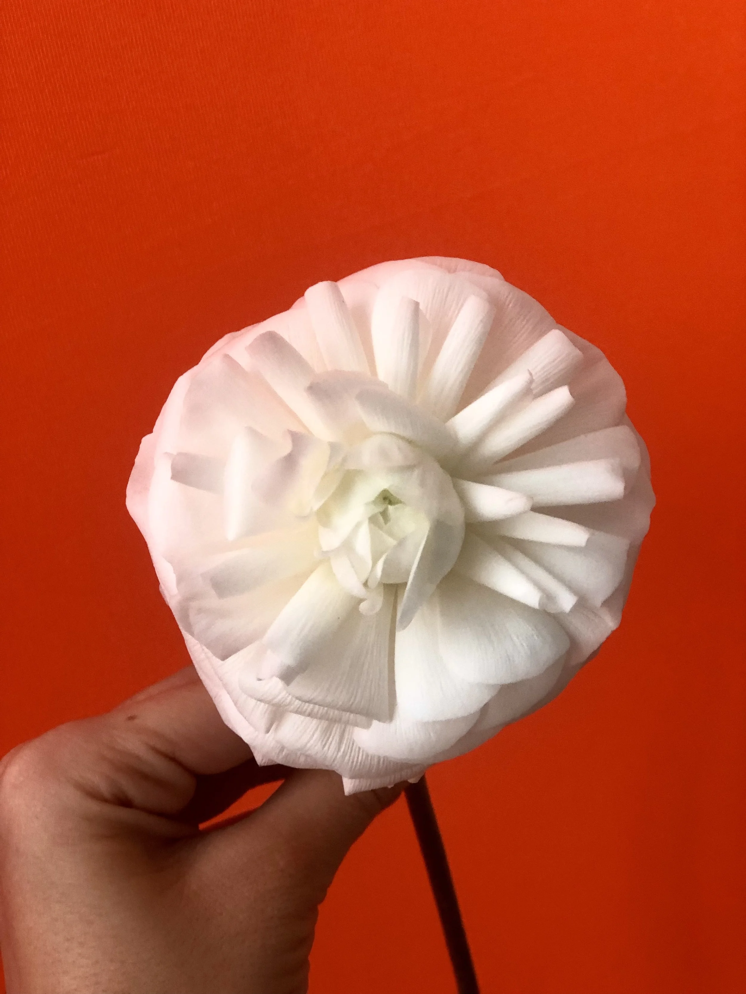 A white artificial flower with layered petals held in a person's hand against an orange background.