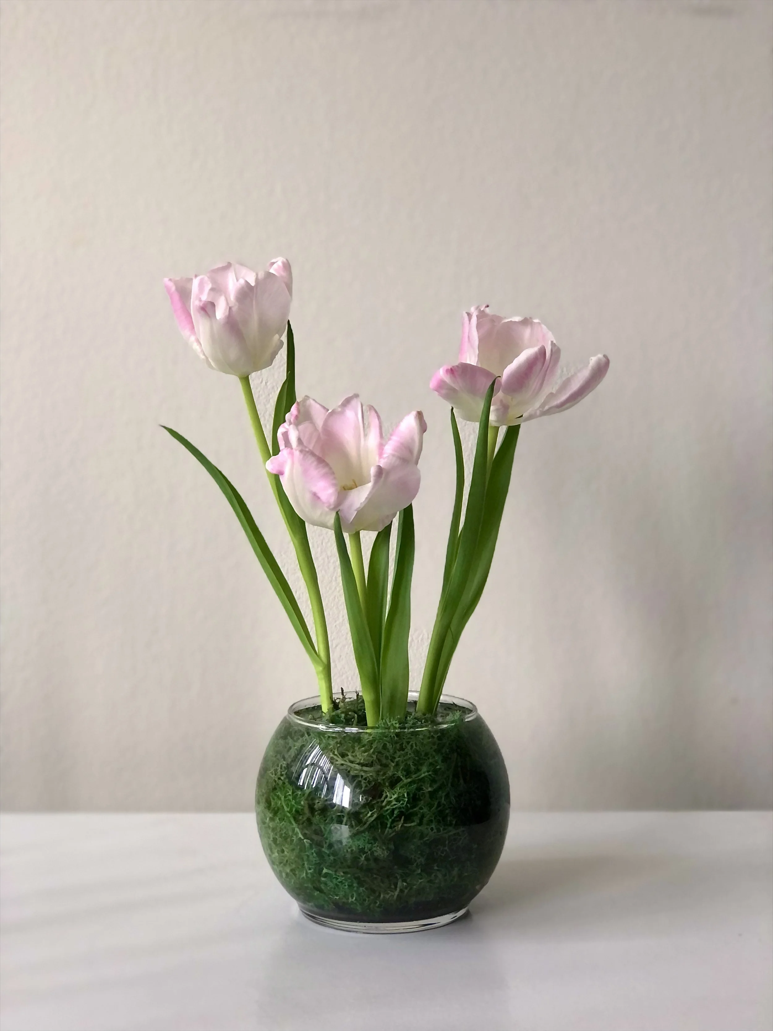 A small round glass vase with pink and white tulips flower arrangement, set on a white surface against a plain beige wall.