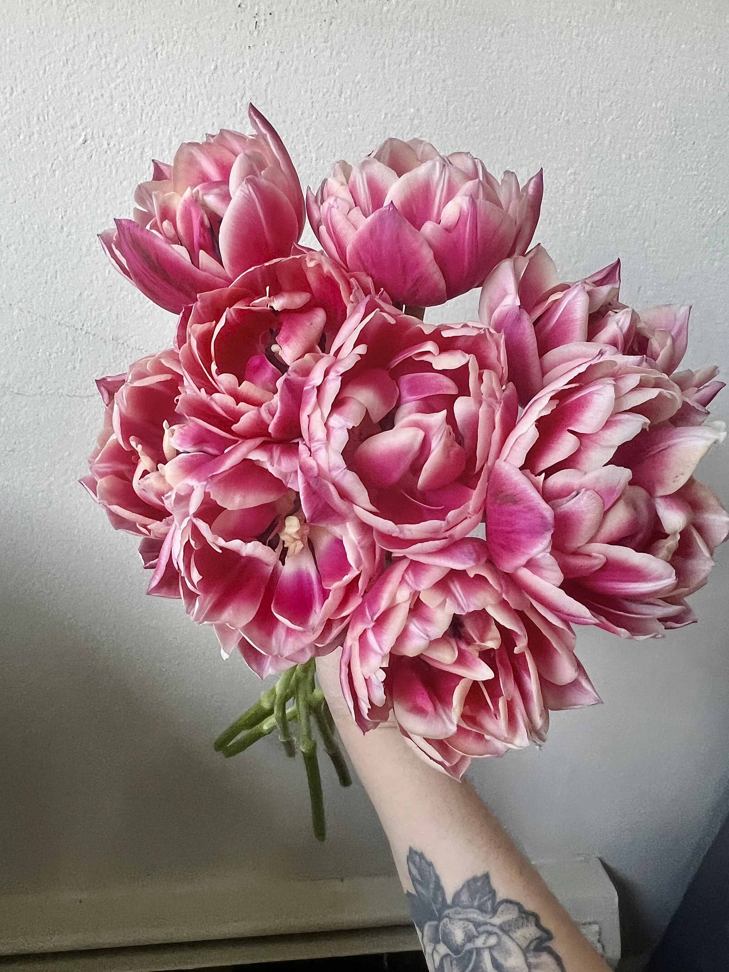 Hand holding a bouquet of pink and white peonies against a plain wall.