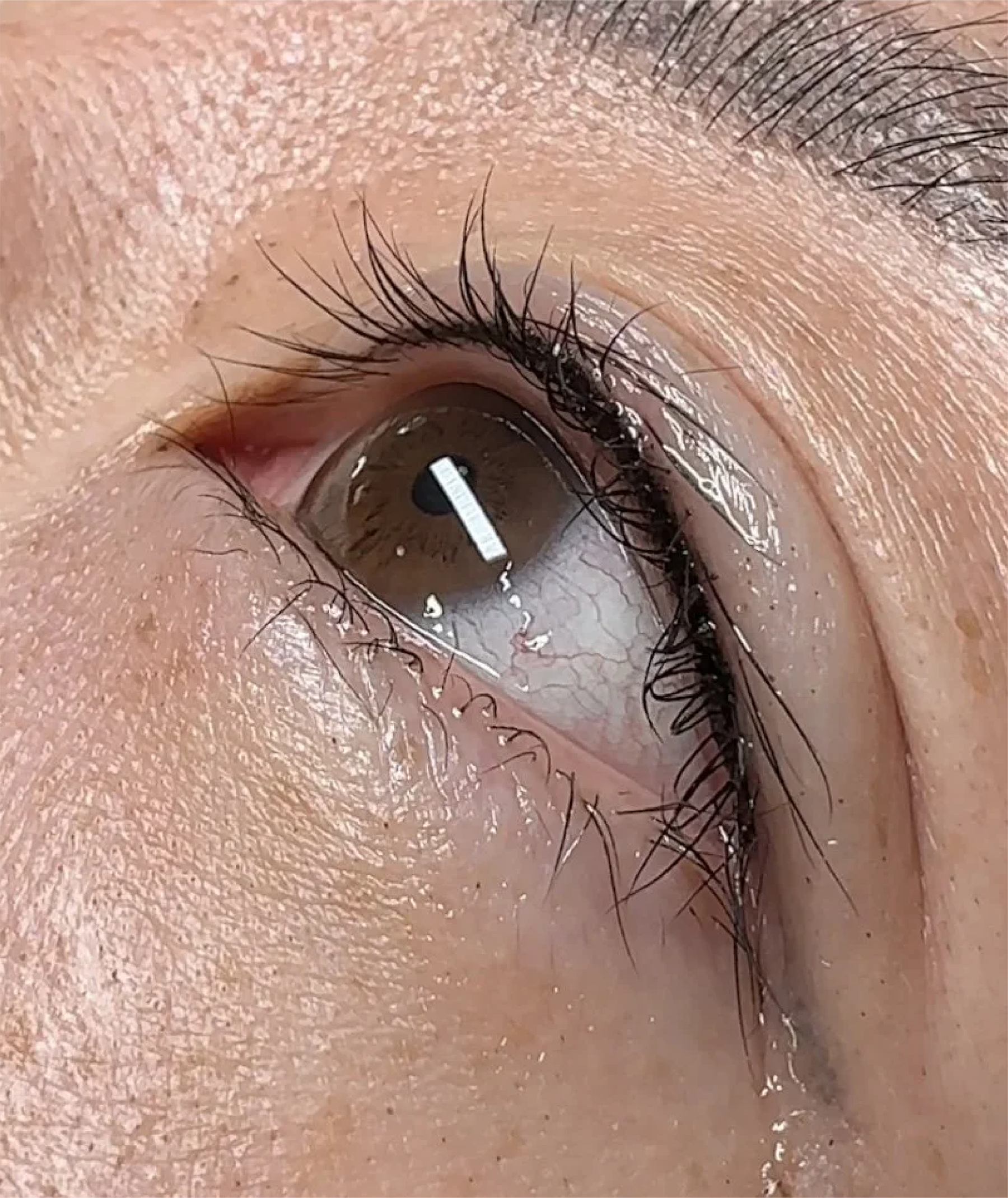 Lash Line Enhancement