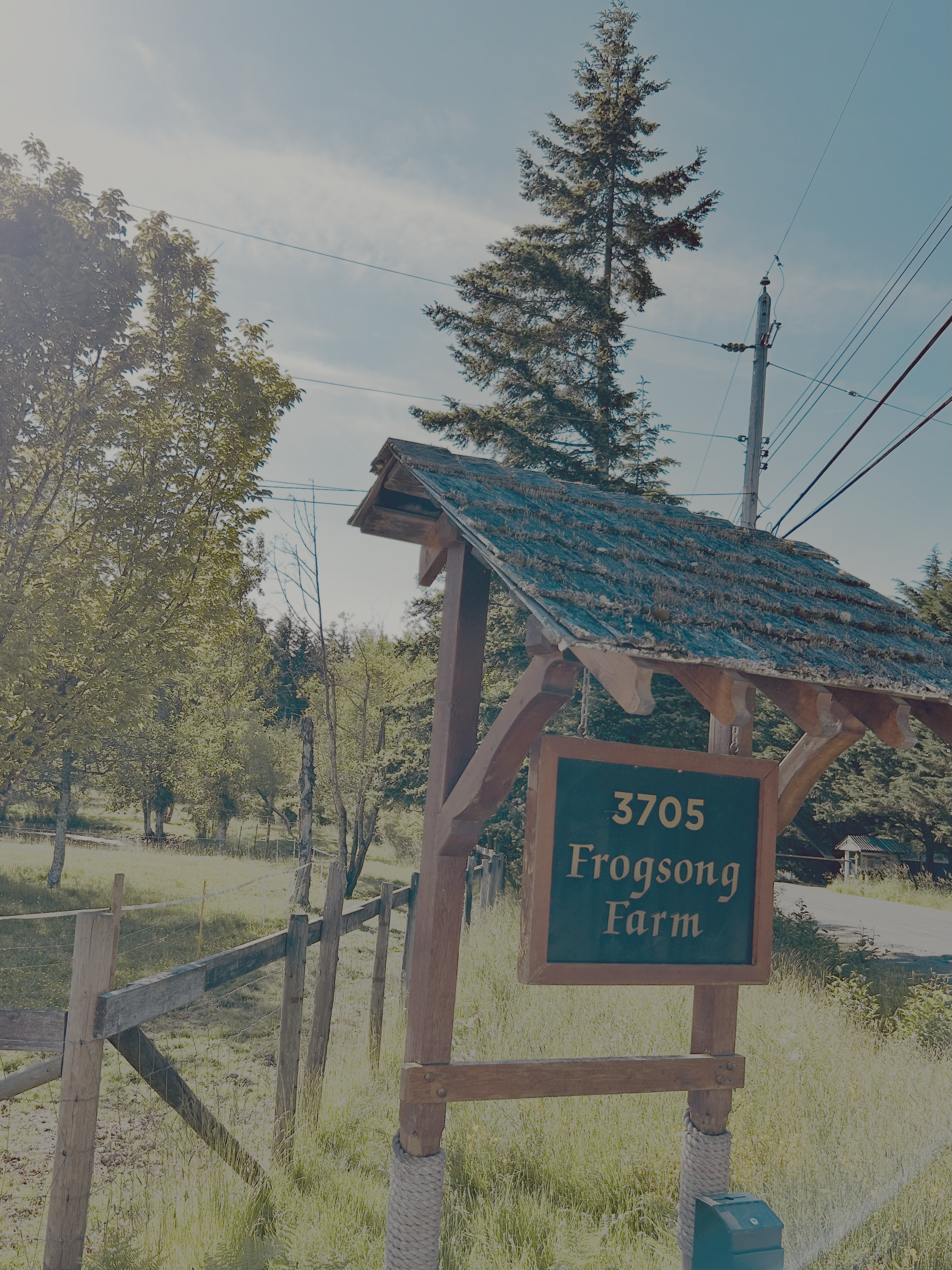 Frogsong farm entrance sign