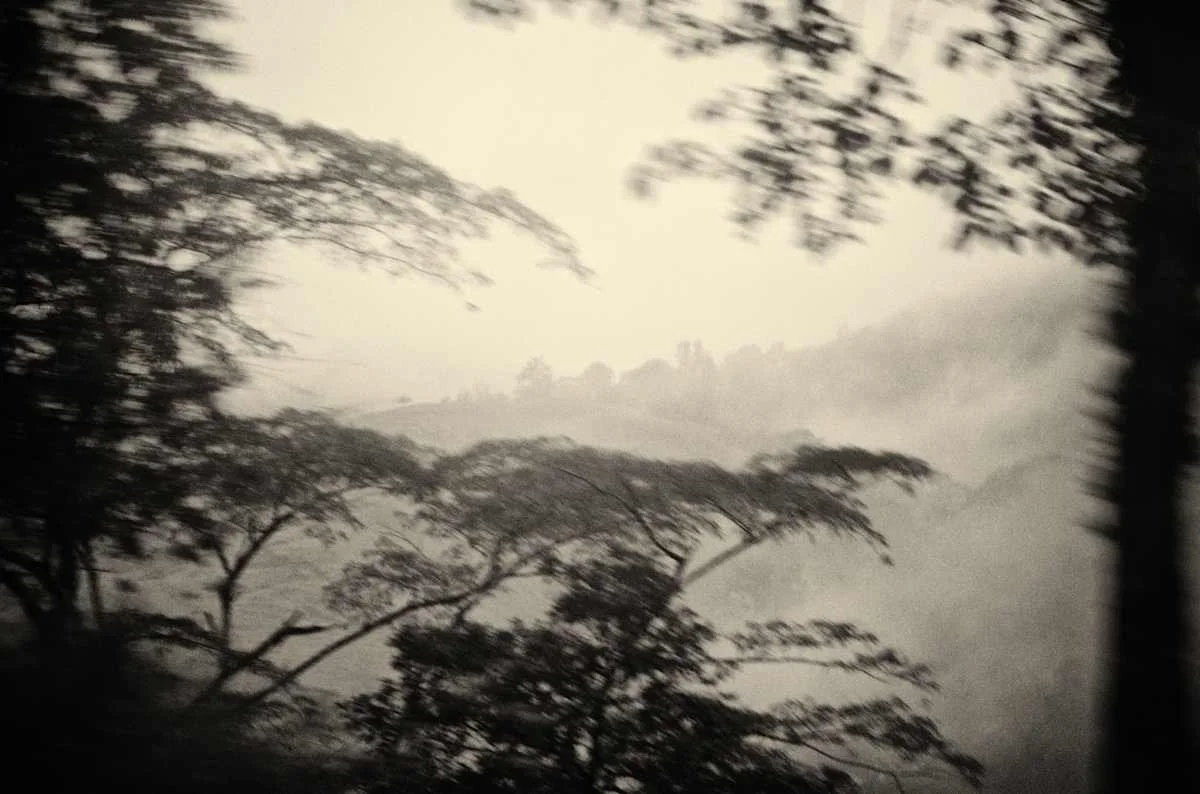 Blurred view of trees and misty landscape with a cloudy sky.