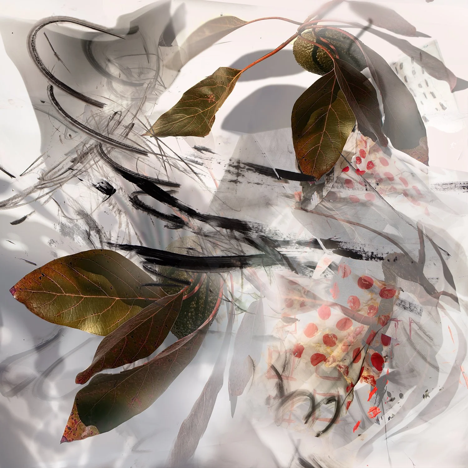 A layered abstract composition featuring leaves, paint strokes, and paper with red polka dots.