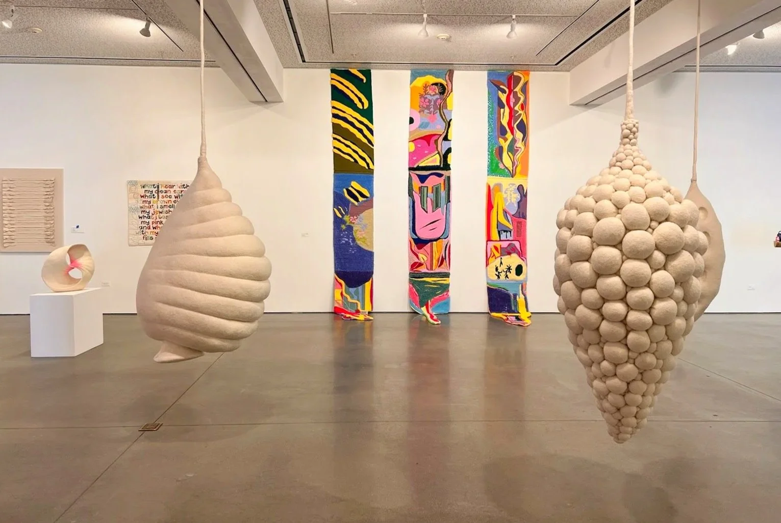 Stephanie Metz at the Oceanside Museum of Art