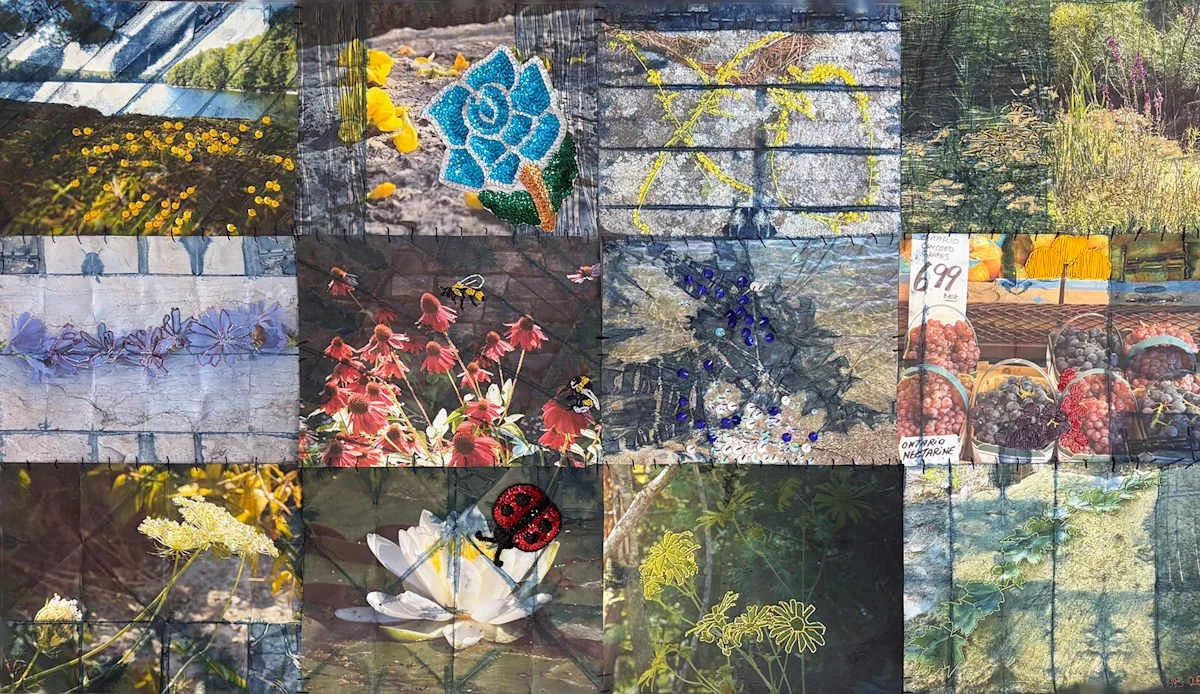 Collage of various outdoor scenes including flowers, plants, a beaded flower art piece, a butterfly on a flower, and a fruit stand with grapes.