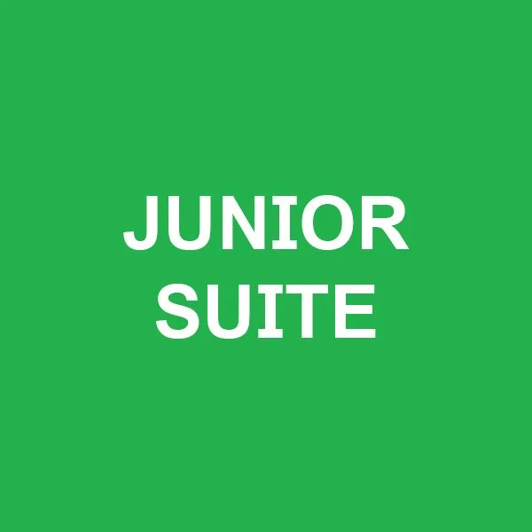 Junior Suite Center 2.jpg (Copy) (Copy)
