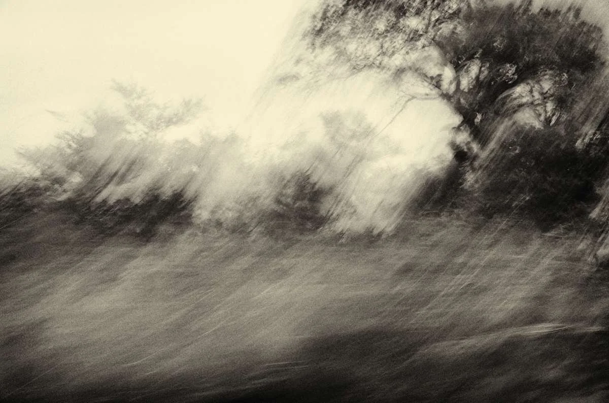 A black and white painting of a stormy landscape with trees and wind.