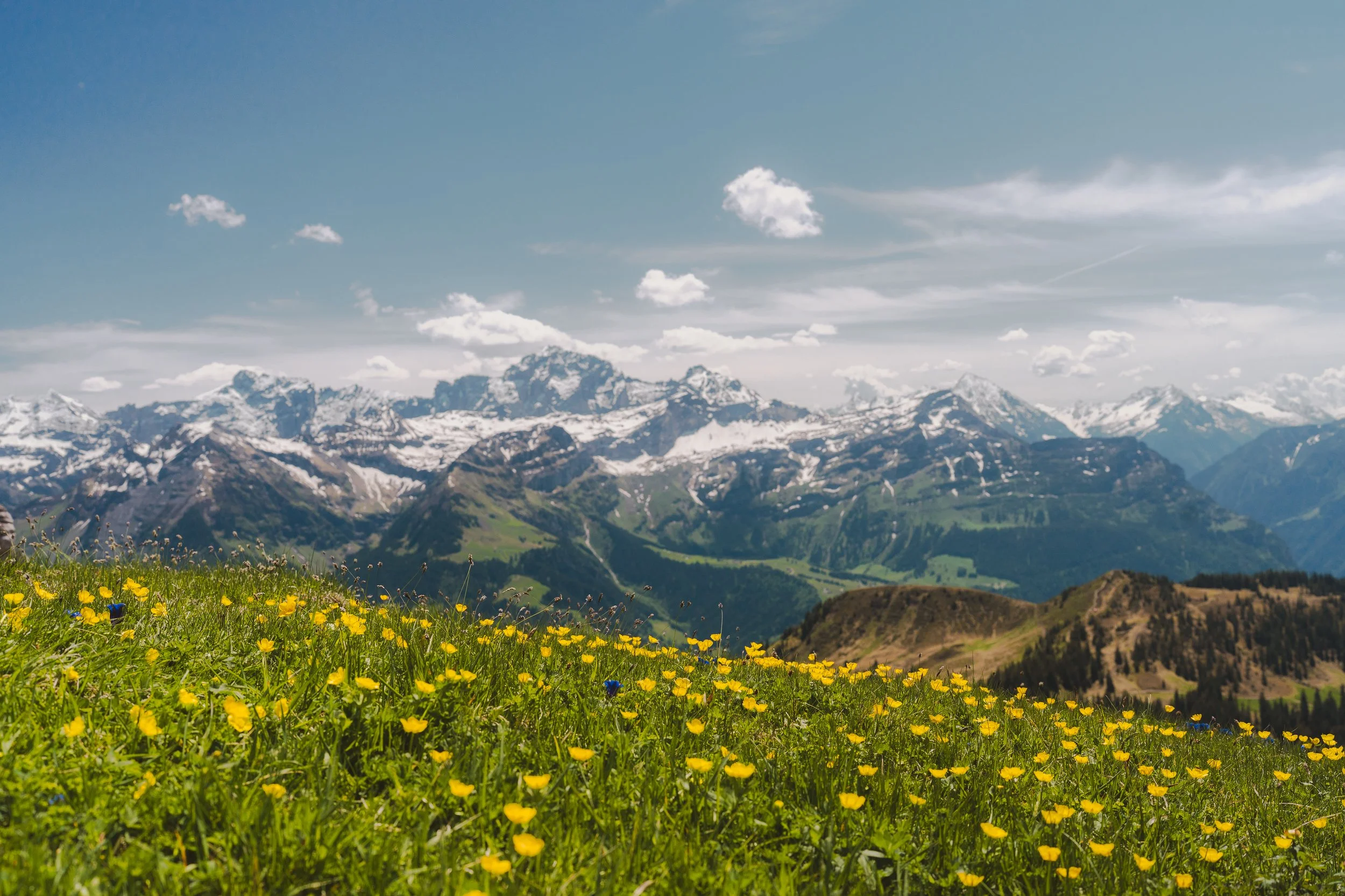 Suiza con Ana Junio 2025-1039edited.jpg