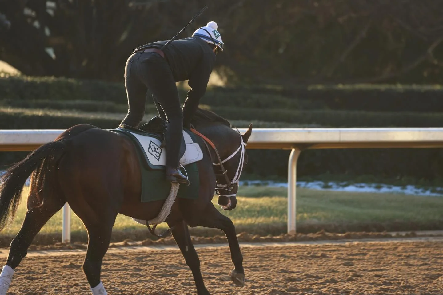 Spirit of Royal is locked in for the Southwest Stakes tomorrow at @oaklawnhotsprings 

📸: @owneycreative