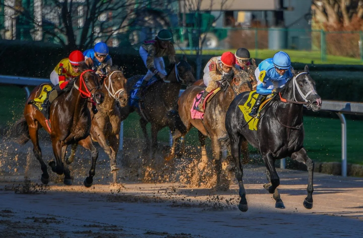 Tough Catch opens his 4YO campaign and puts them away at @oaklawnhotsprings 🗣️🩵

📸: Robert Yates