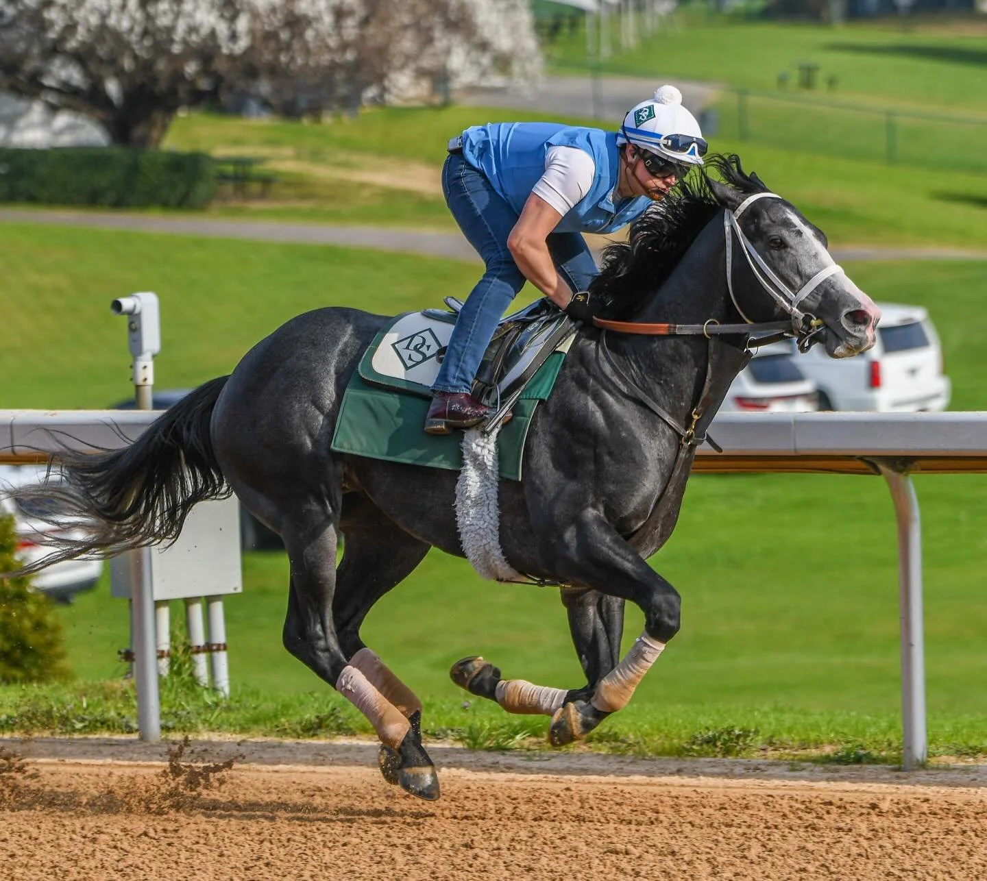Tough Catch set for the Whitmore Stakes (G3) this Saturday at @oaklawnhotsprings 

🏇: @eme.chavez16 
📸: Robert Yates