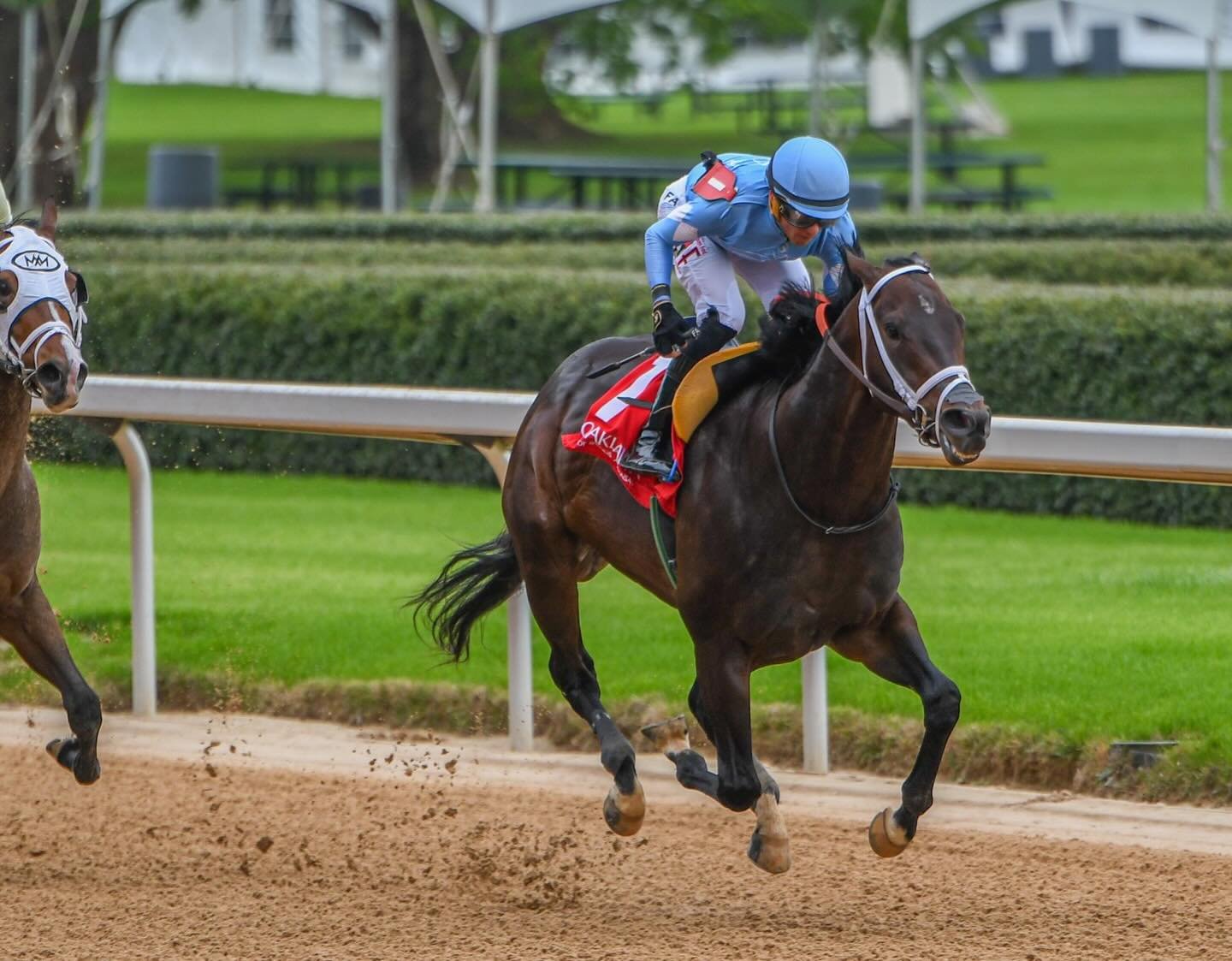 American Man makes a statement in his debut at @oaklawnhotsprings 🇺🇸🩵

📸: Robert Yates