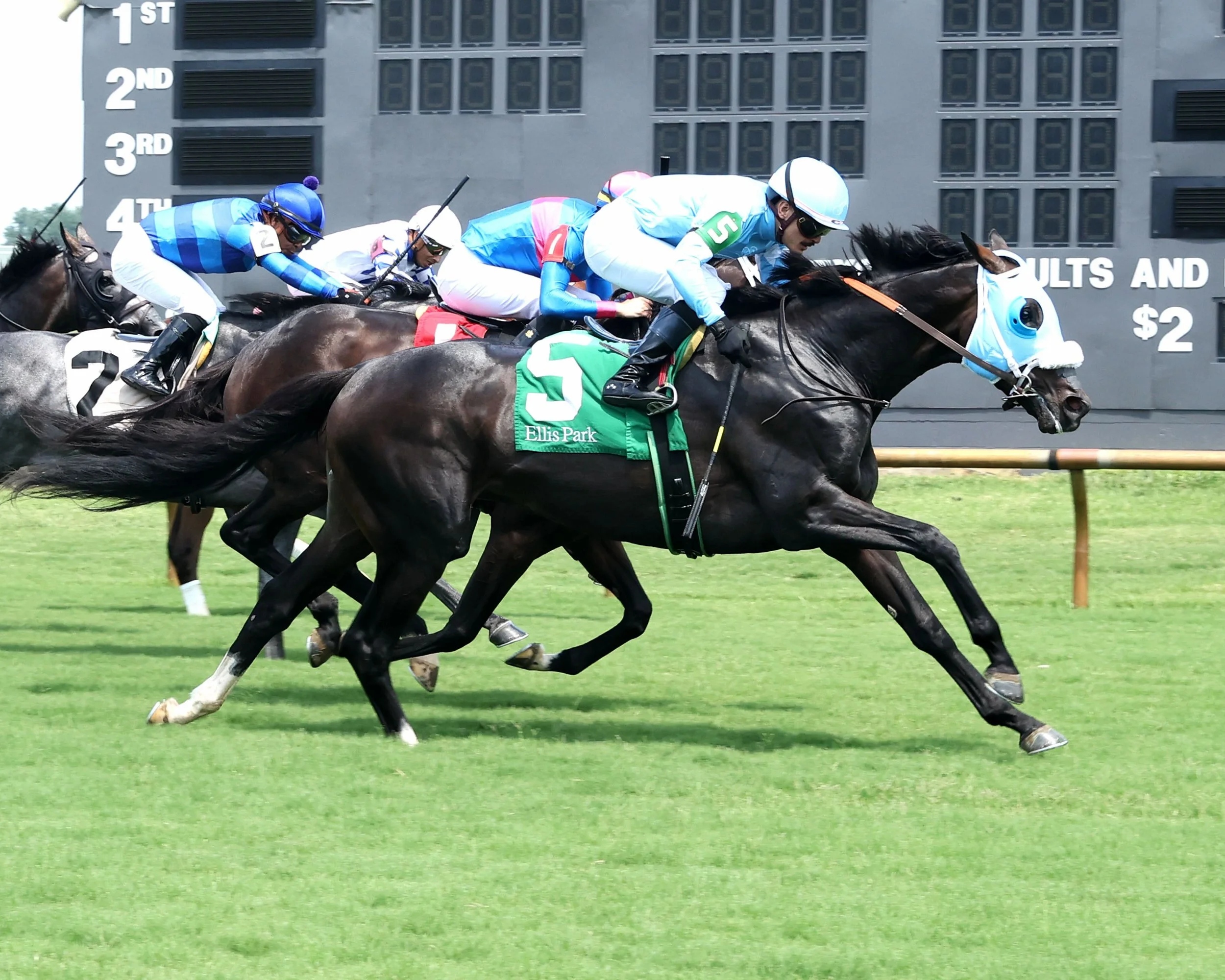 Royal Causeway delivers again, making it back-to-back wins with a strong performance in R6 at @ellisparkracing. 
Thanks to the Dallas Stewart barn for having him ready 

📸: @coadymediausa