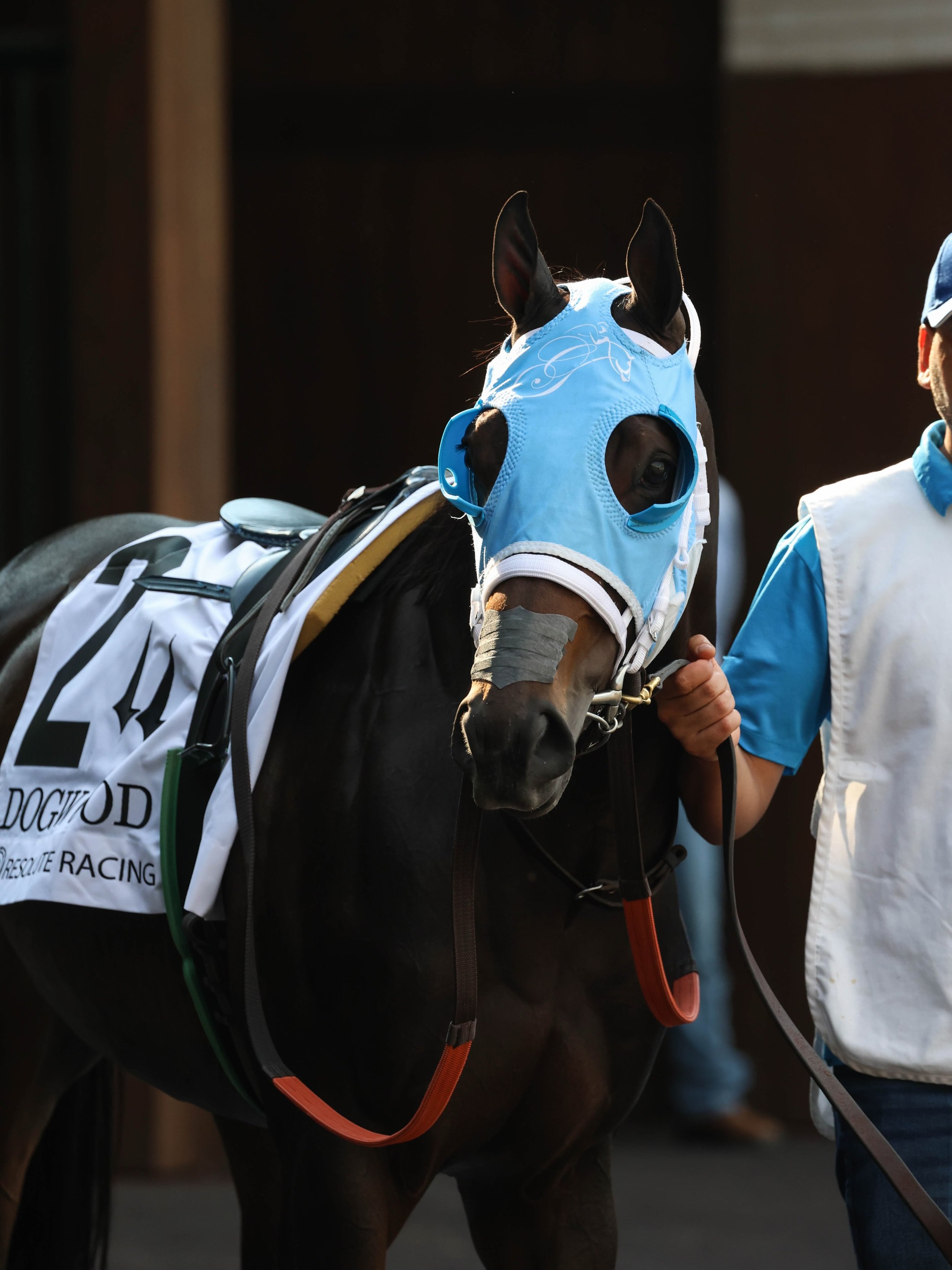 Thank you, Gerlin&rsquo;s Empire🩵 

Retiring sound, happy, and ready for her next chapter as a broodmare.

📸: @owneycreative