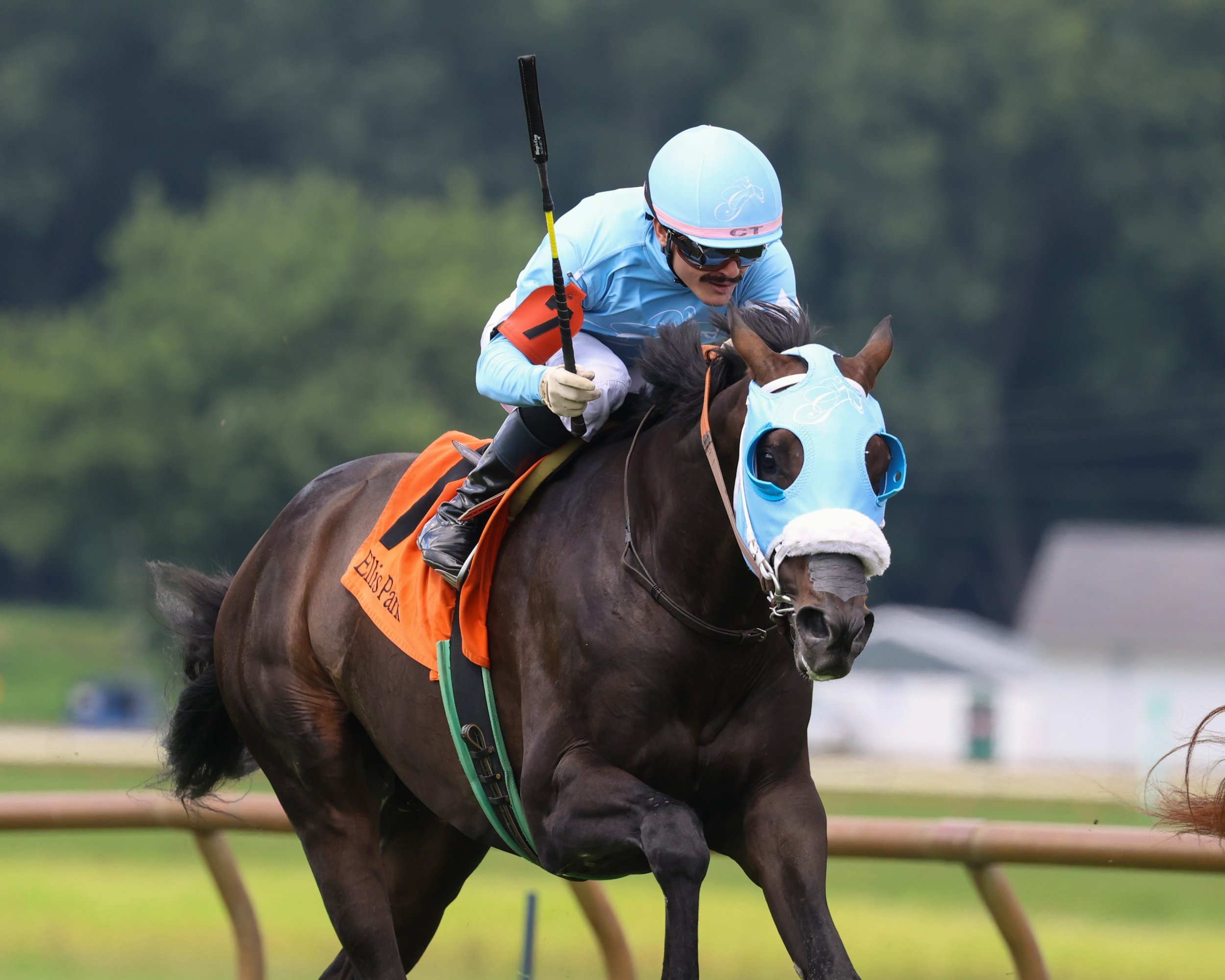 Royal Causeway steps onto the stakes stage and delivers, running a game second in the Water Tower at @ellisparkracing 

📸: @owneycreative