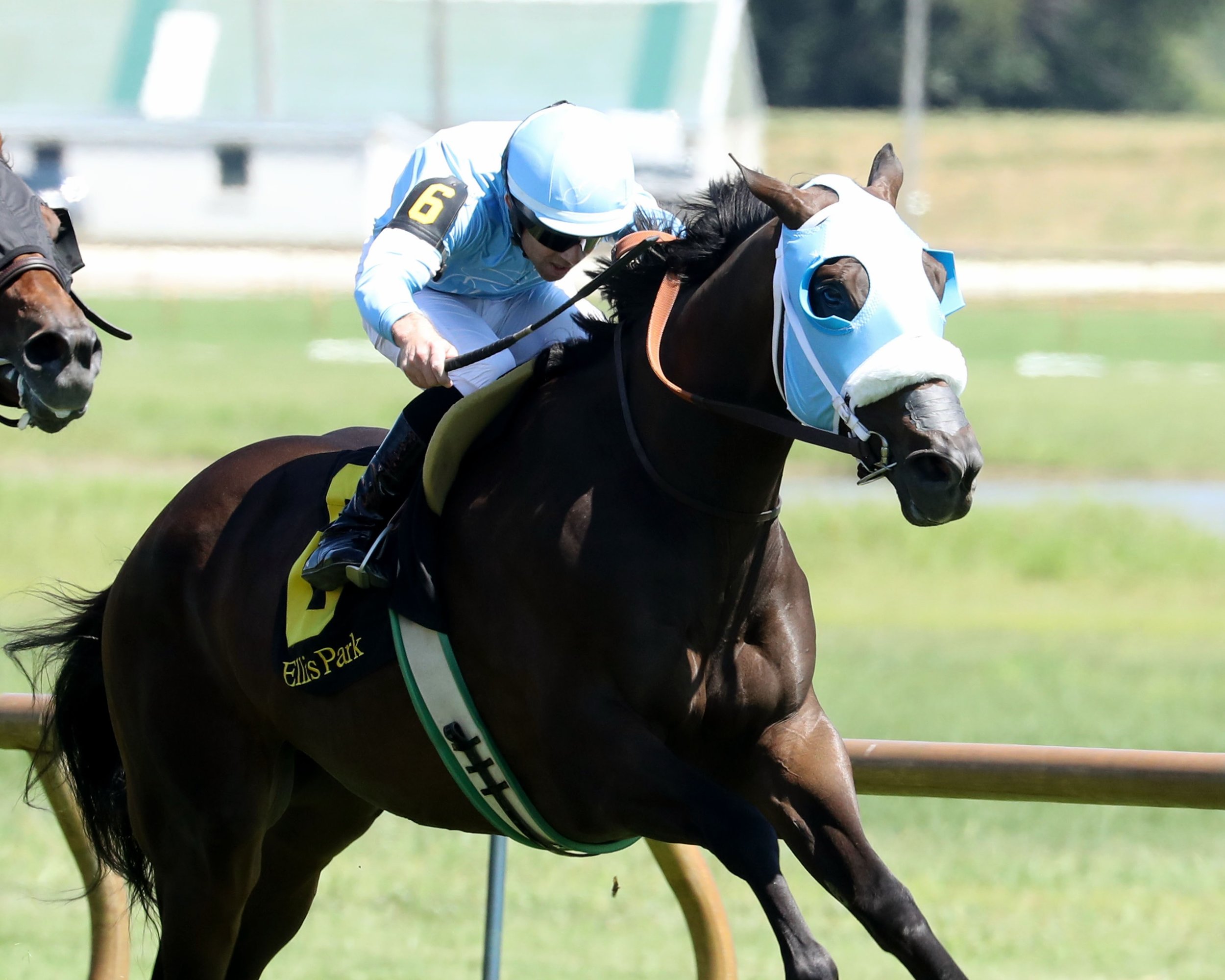 Restore gets the job done in his first try going two turns at @ellisparkracing with @_benacurtis aboard

📸: @coadymediausa