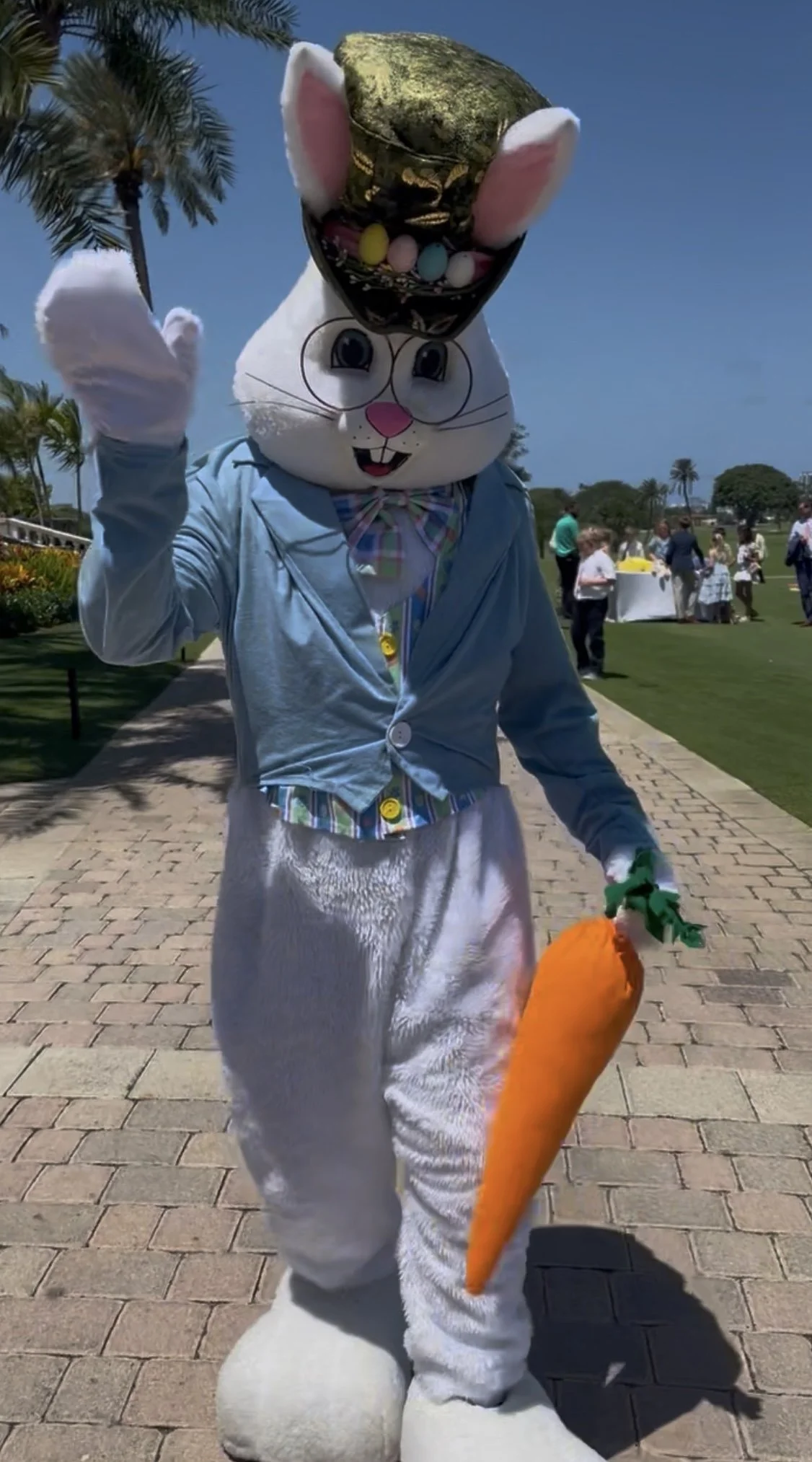 My-Fab-Events_Characters_Easter-Bunny_Walking-WAving.jpeg