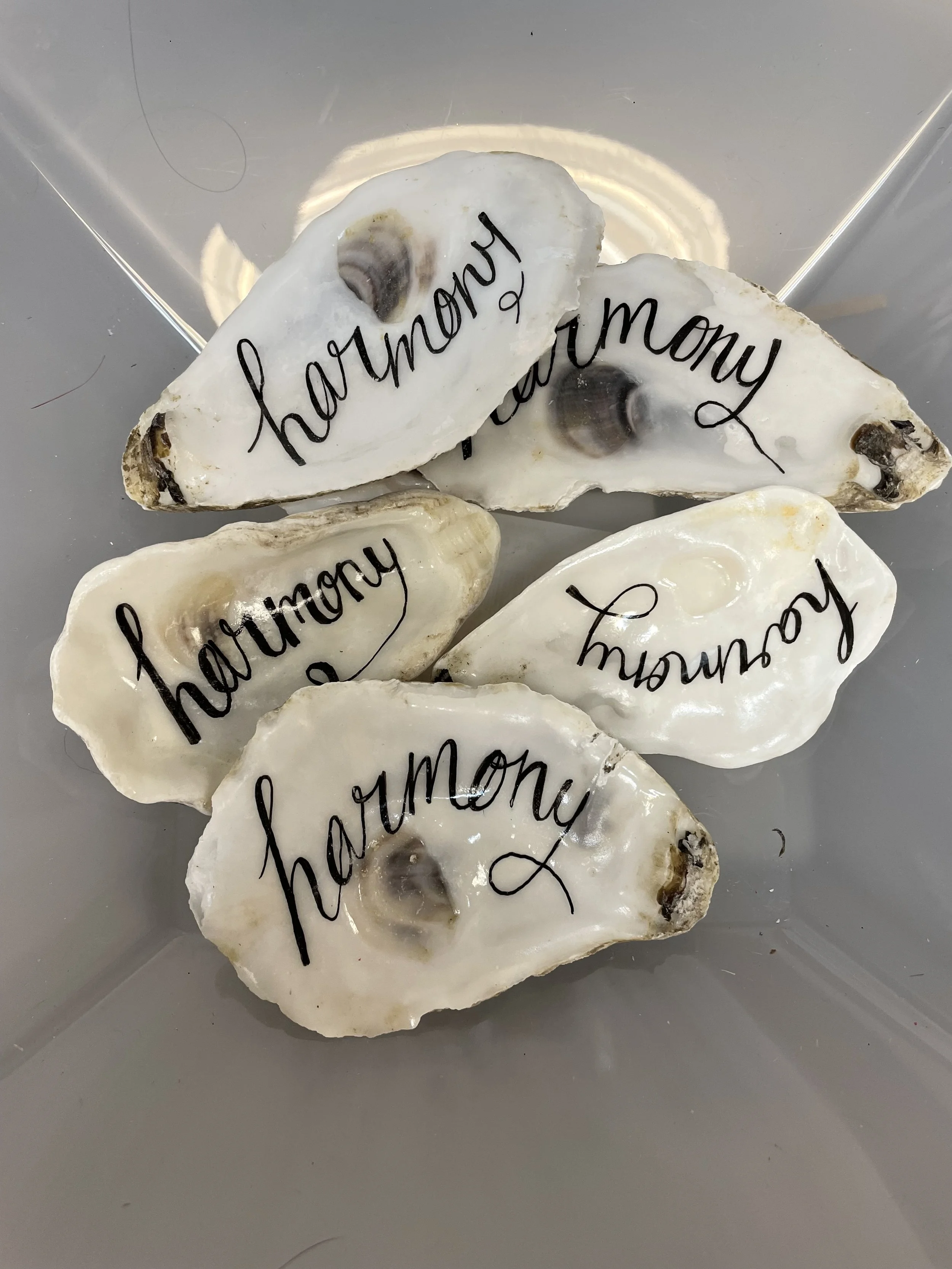 My-Fab-Events_Sea-Shell_Names.jpeg