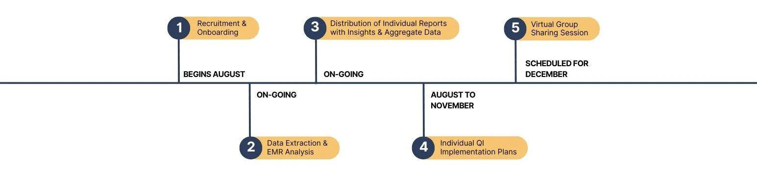 A timeline infographic illustrating five sequential steps for project management or process workflow, beginning in August and scheduled into December. The steps include Recruitment & Onboarding, Data Extraction & EMR Analysis, Distribution of Individual Reports with Insights & Aggregate Data, Individual QI Implementation Plans, and Virtual Group Sharing Session.