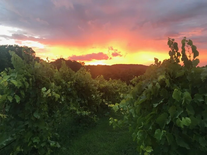 Sunset Dinner