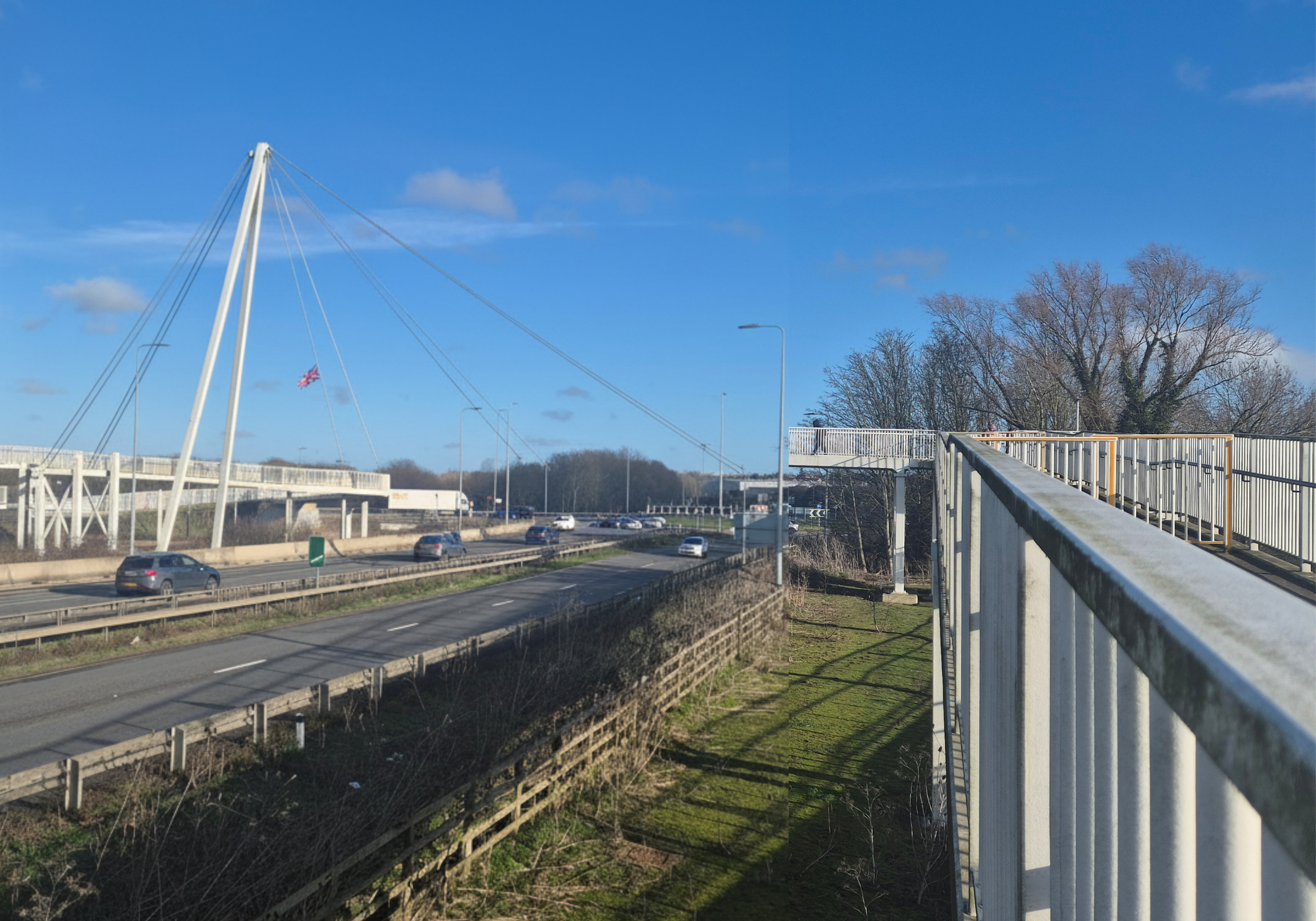 Untitled design(8).png